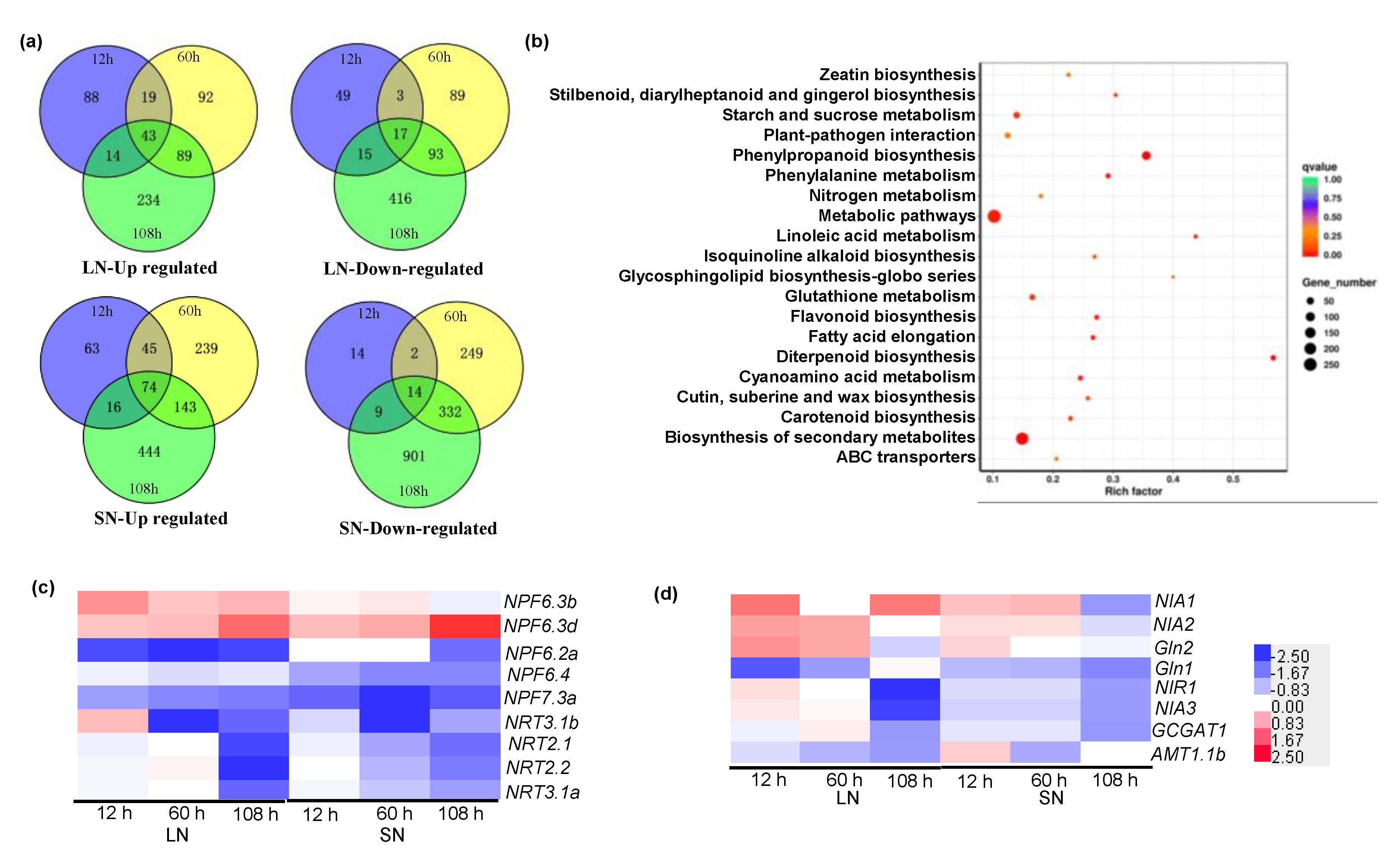 Ijms 21 01824 g006 Ijms 21 01824 g006