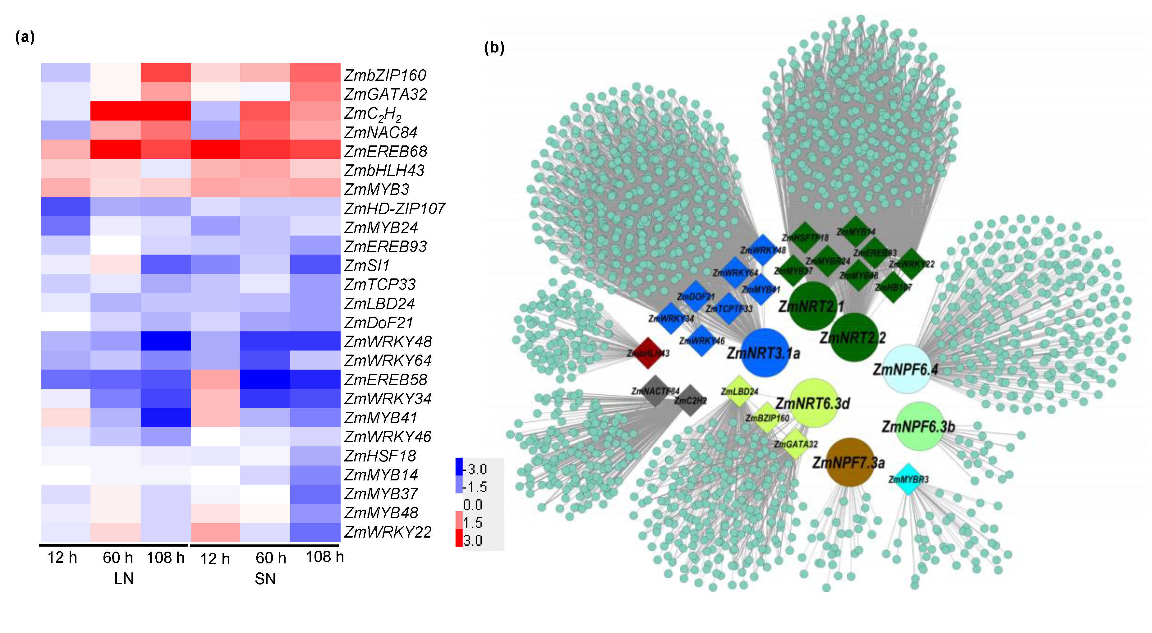 Ijms 21 01824 g008 Ijms 21 01824 g008