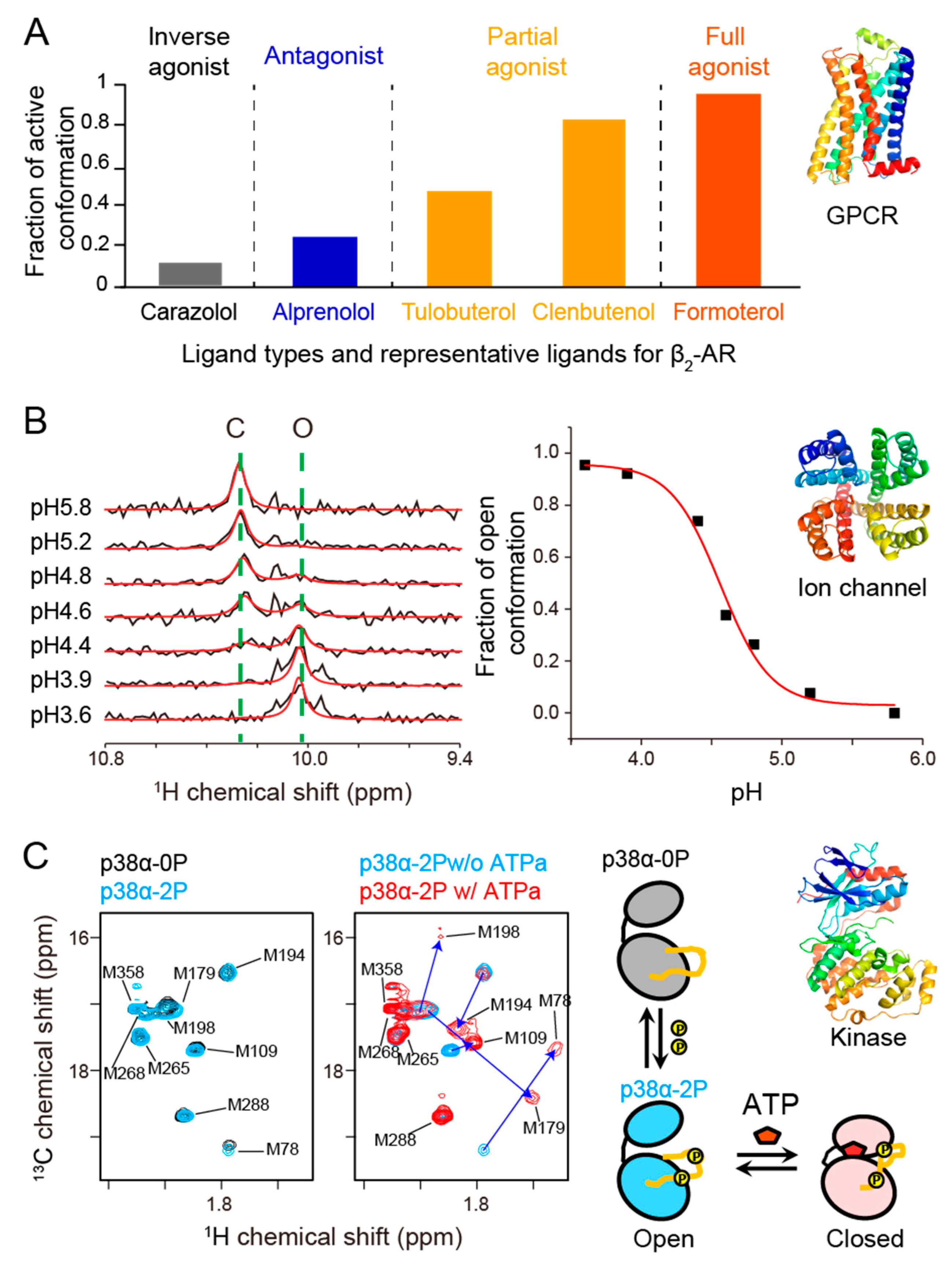 A hierarchy of timescales in protein dynamics is linked to enzyme catalysis