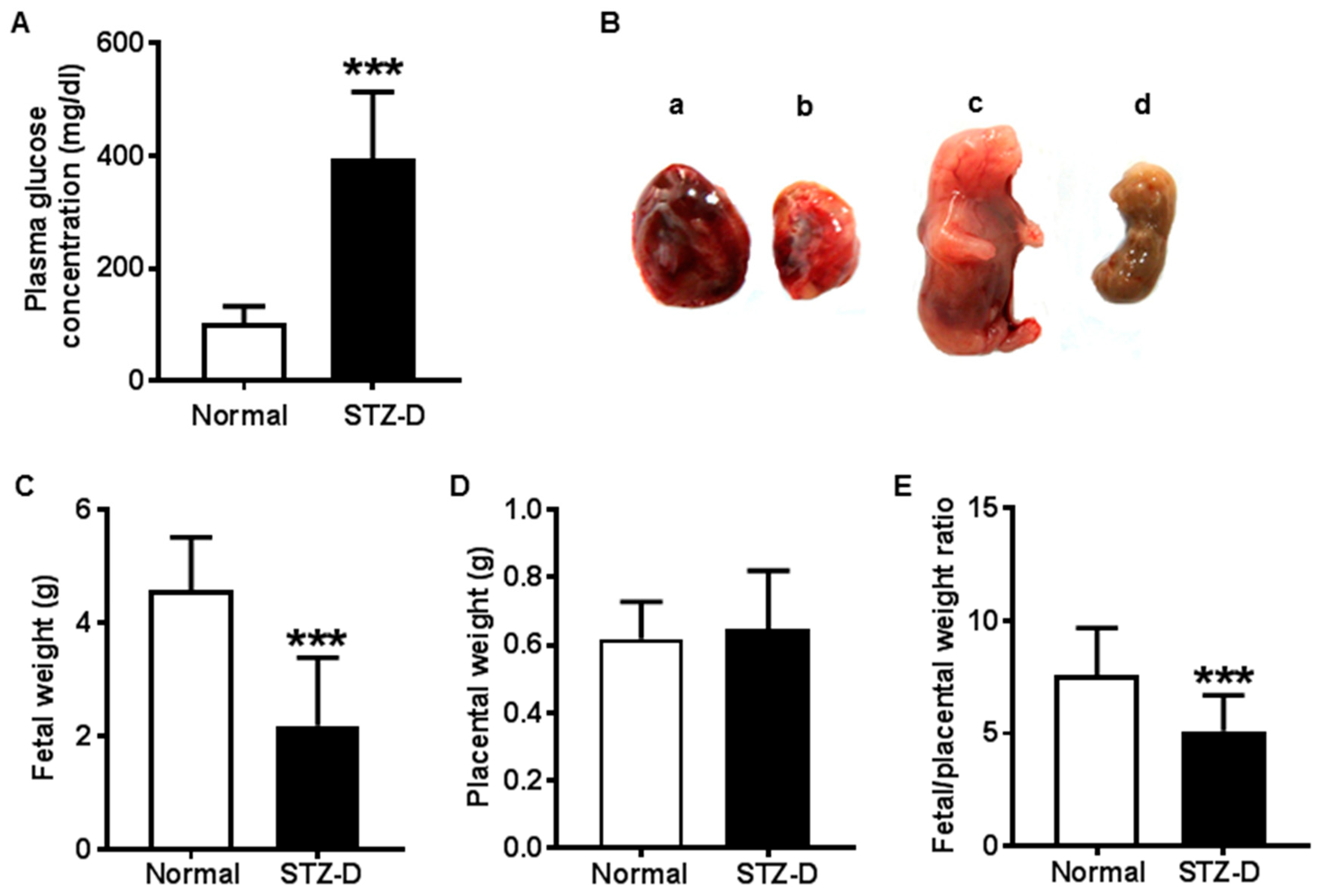 Ijms 21 01849 g001 Ijms 21 01849 g001