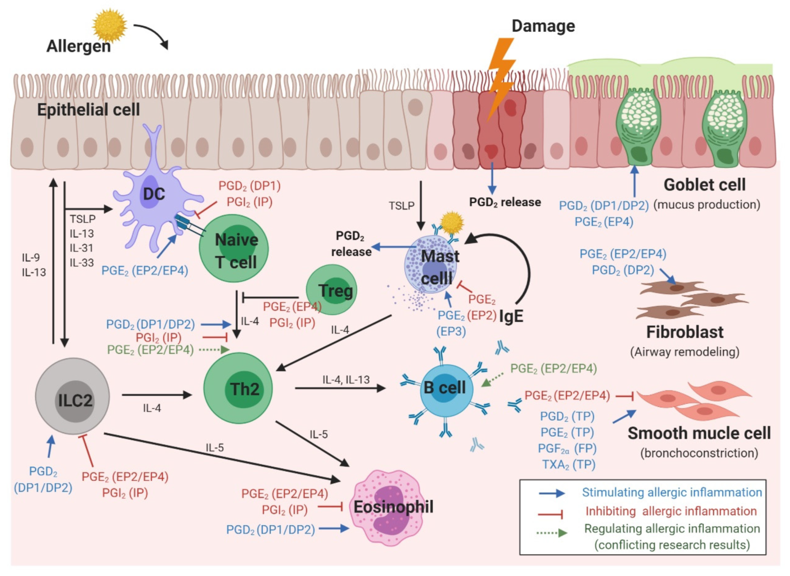 Ijms 21 01851 g002 Ijms 21 01851 g002