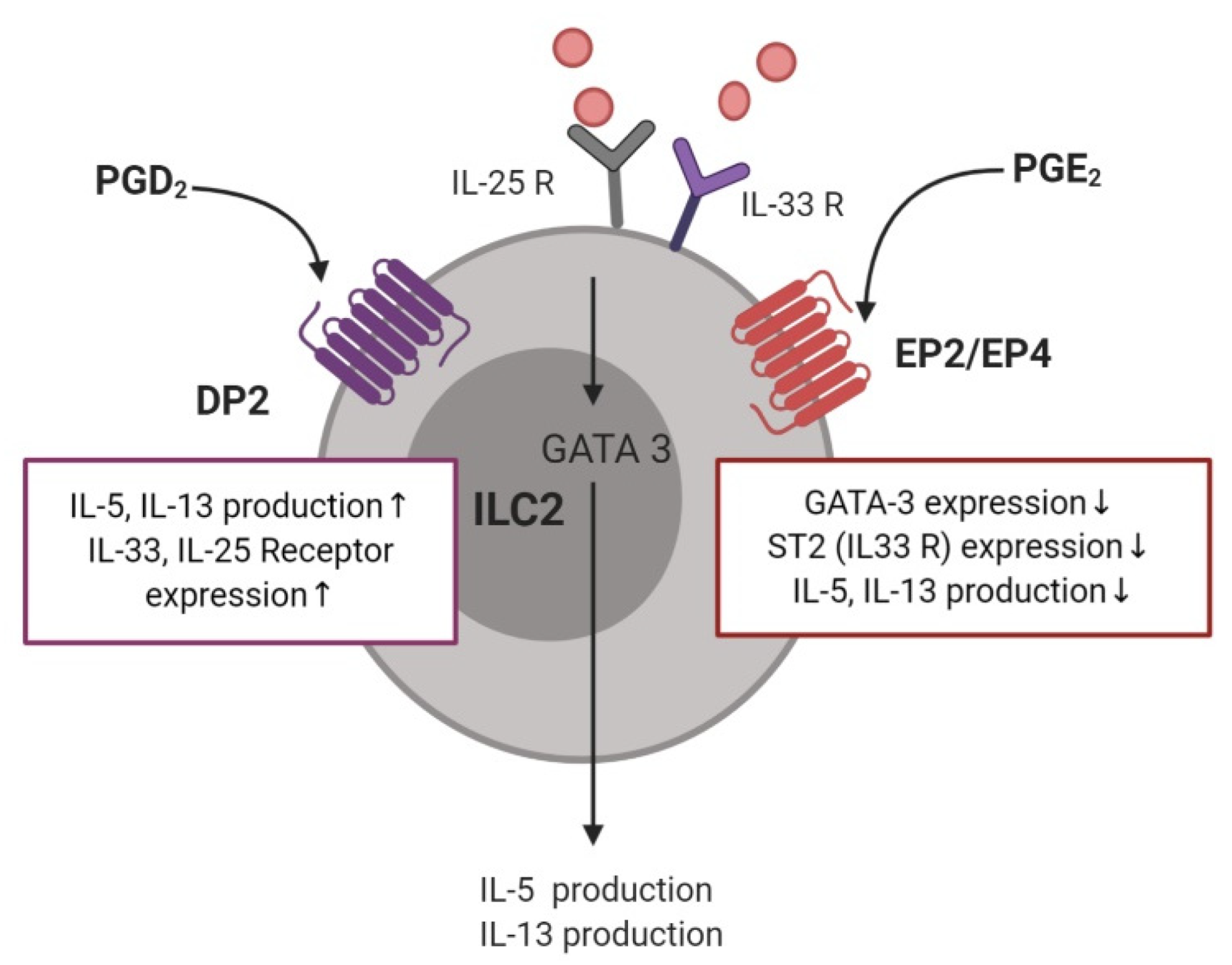 Ijms 21 01851 g004 Ijms 21 01851 g004