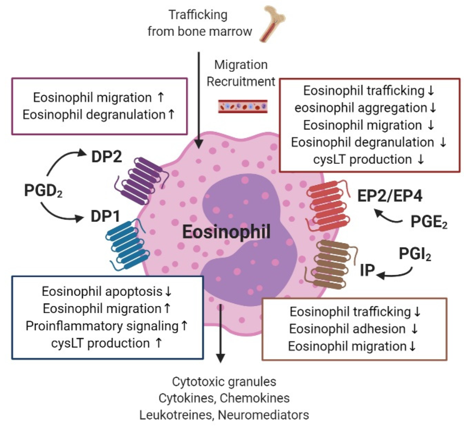 Ijms 21 01851 g005 Ijms 21 01851 g005