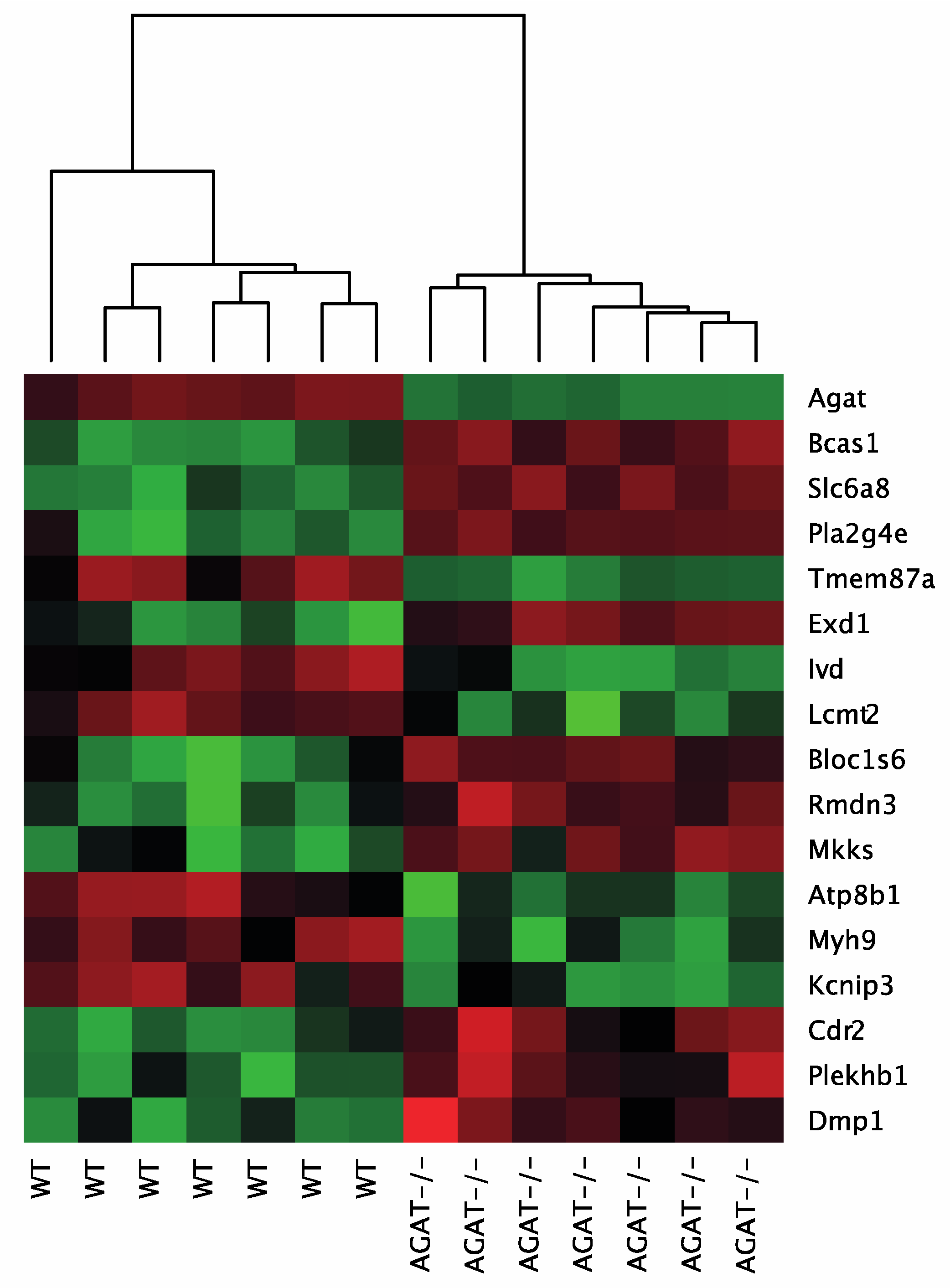 Ijms 21 01865 g002 Ijms 21 01865 g002
