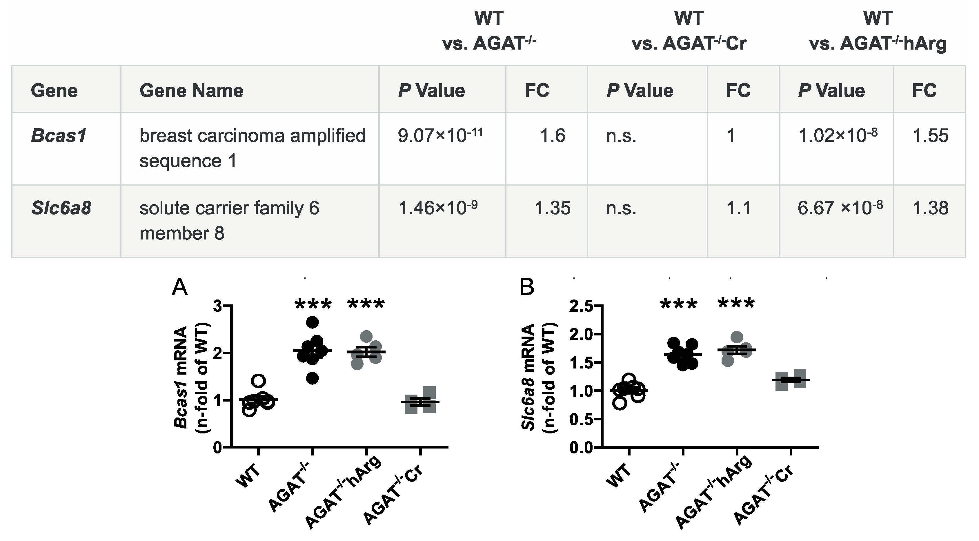 Ijms 21 01865 g003 Ijms 21 01865 g003