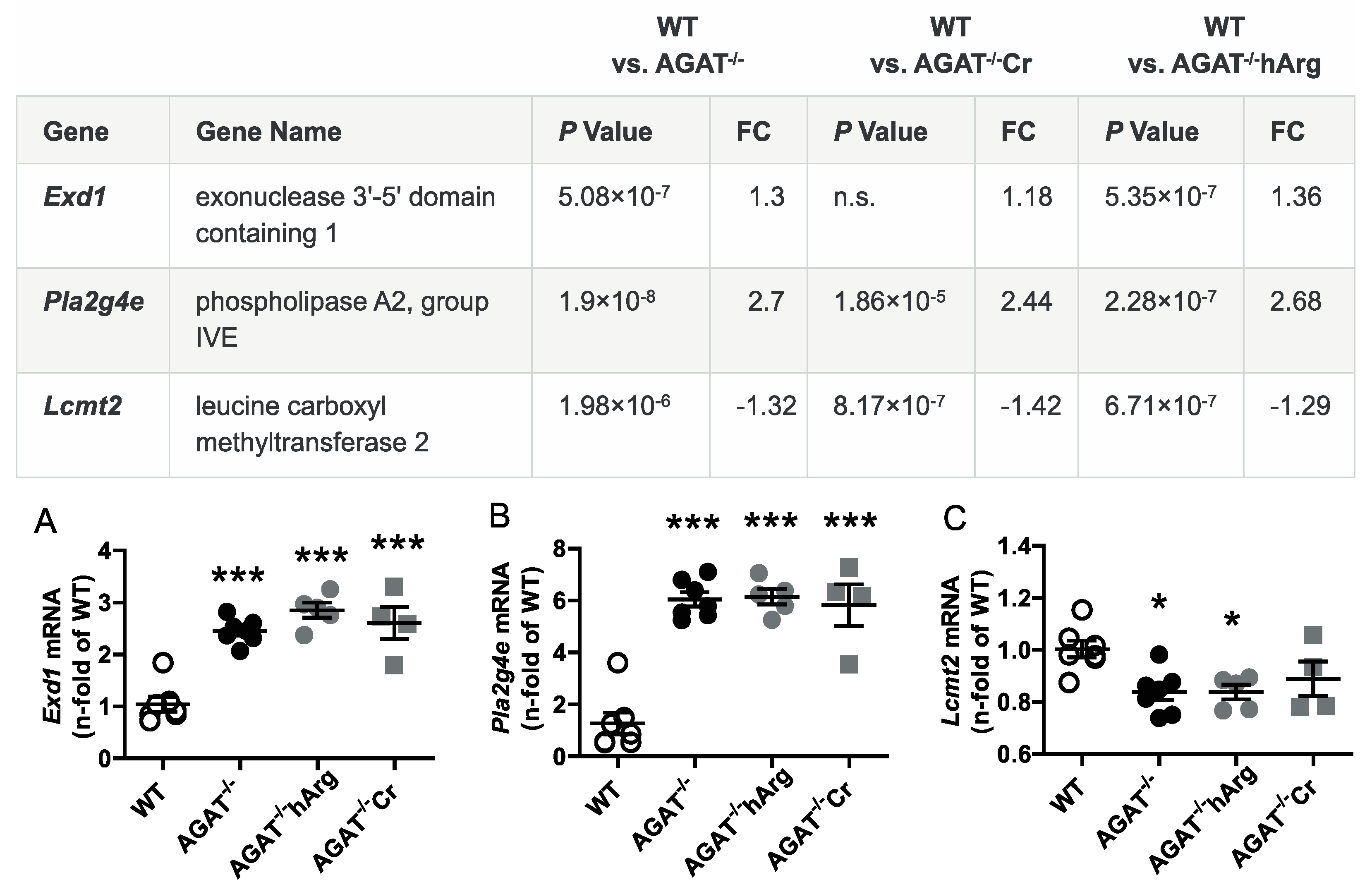 Ijms 21 01865 g005 Ijms 21 01865 g005