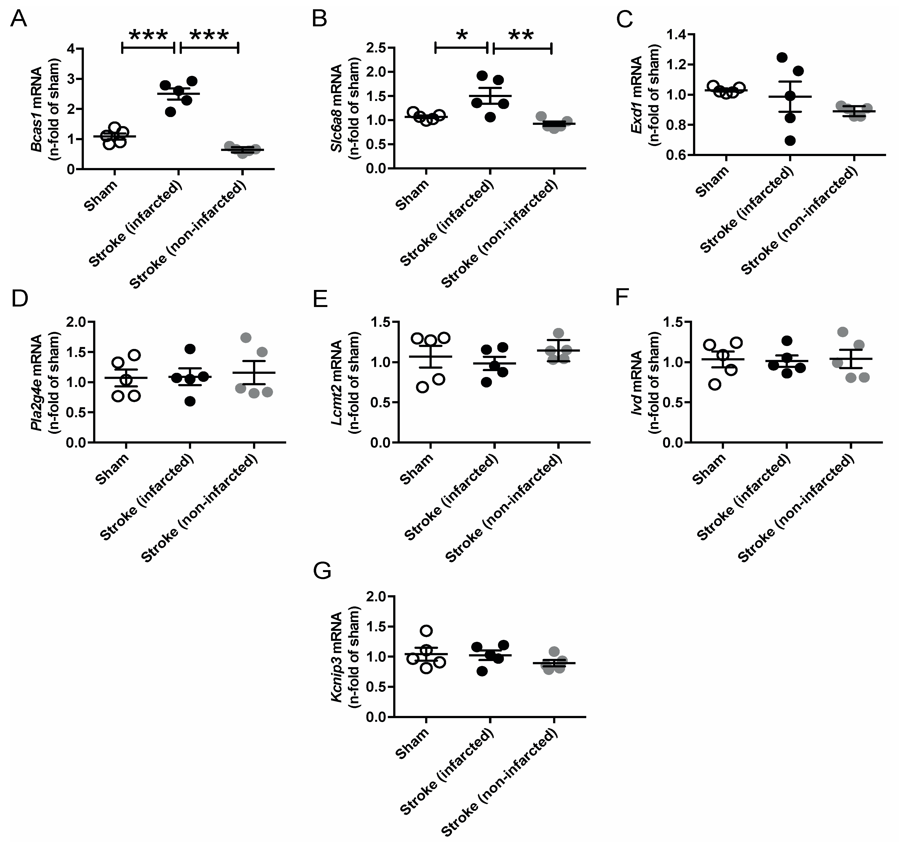 Ijms 21 01865 g006 Ijms 21 01865 g006
