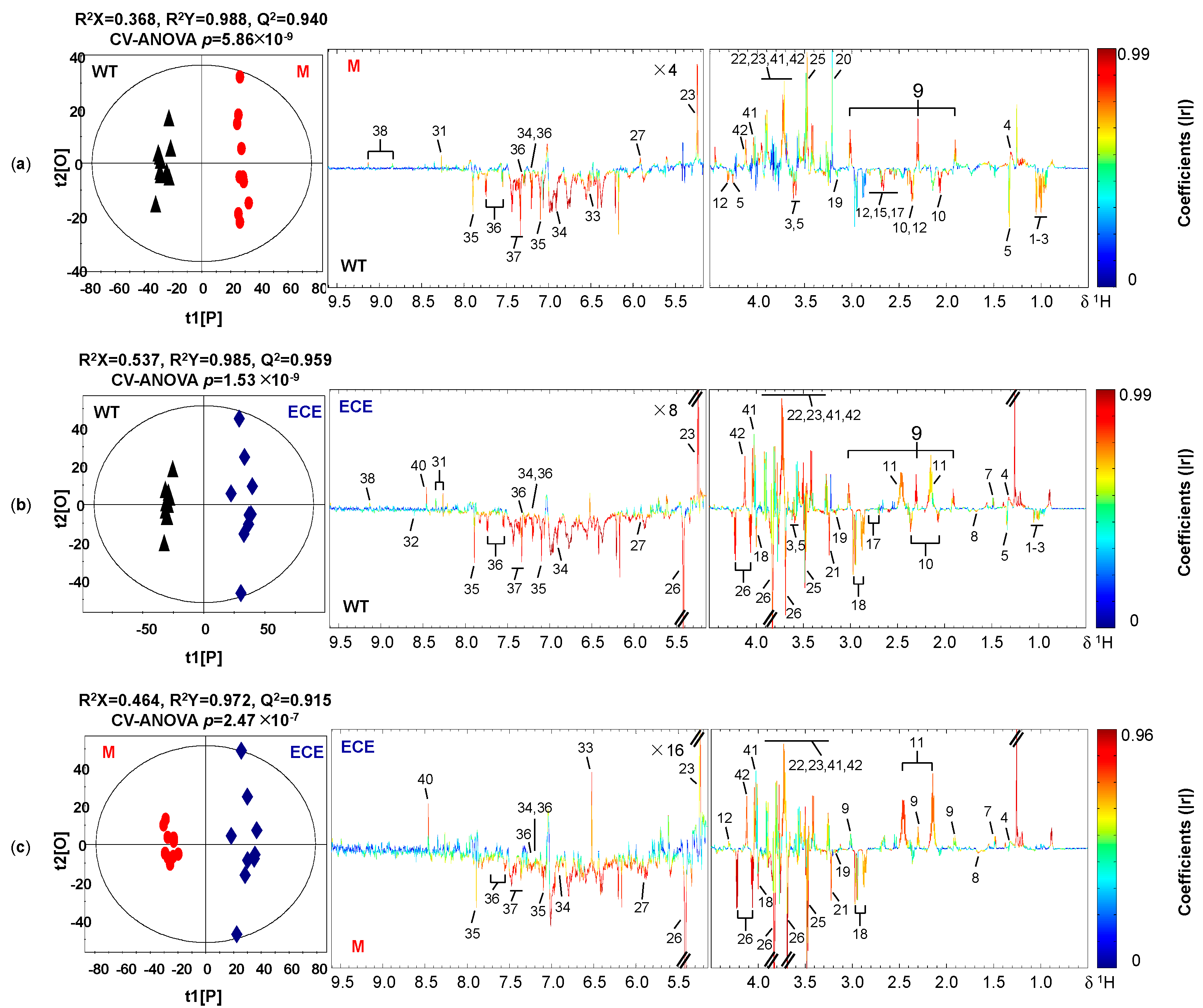 Ijms 21 01924 g002 Ijms 21 01924 g002