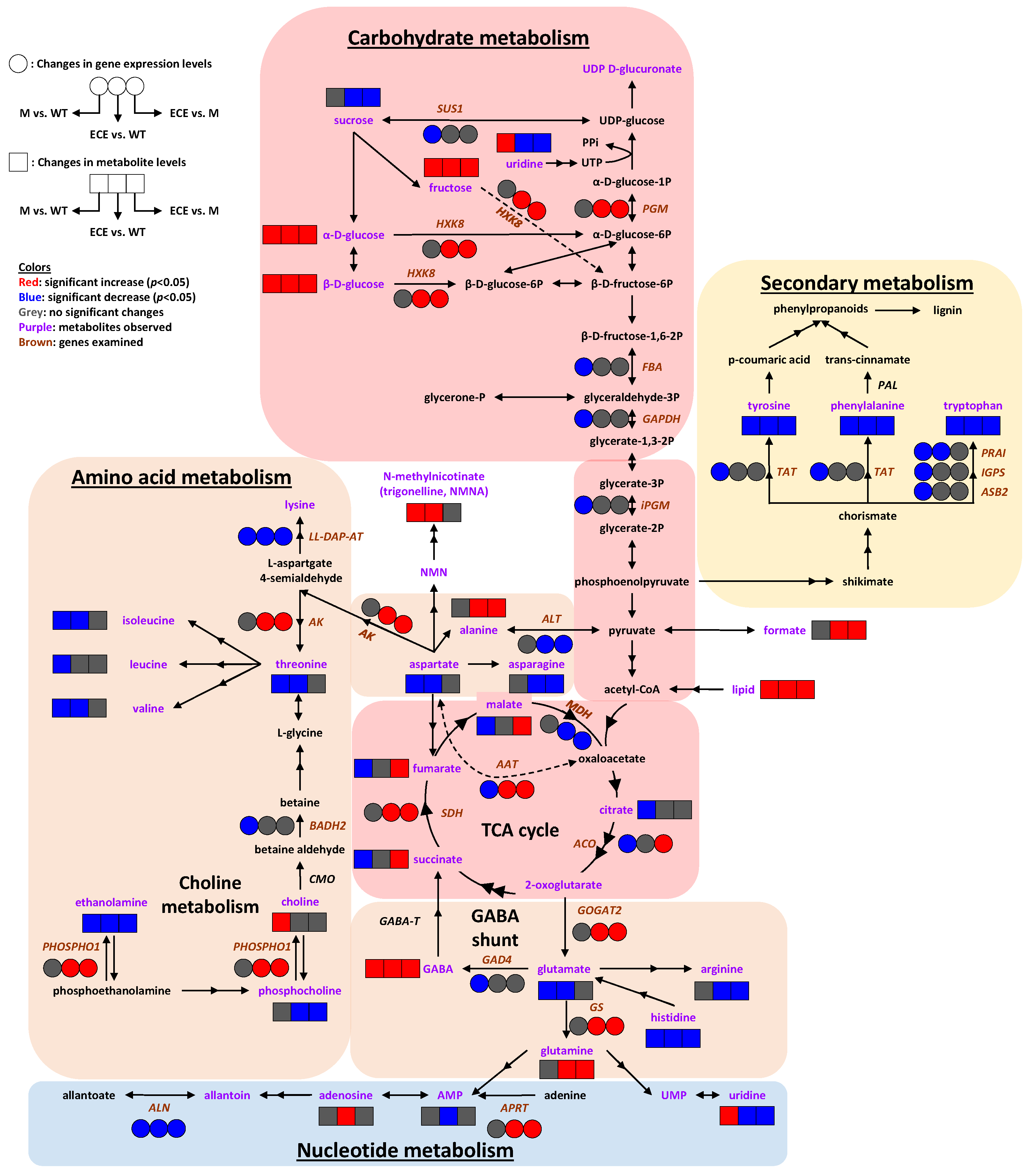 Ijms 21 01924 g005 Ijms 21 01924 g005