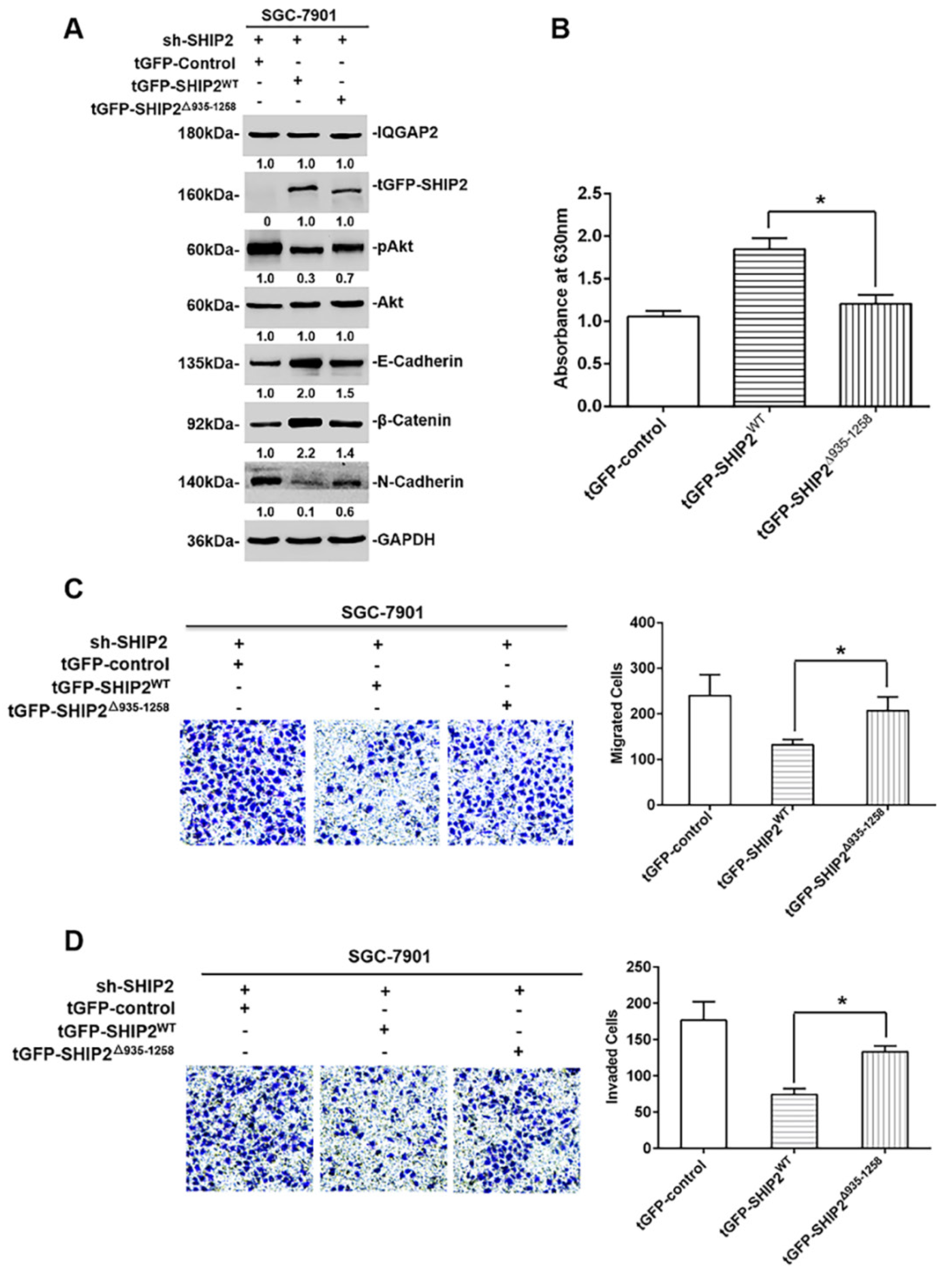 Ijms 21 01968 g005 Ijms 21 01968 g005