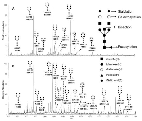 IJMS | Free Full-Text | Abberant Immunoglobulin G Glycosylation In ...