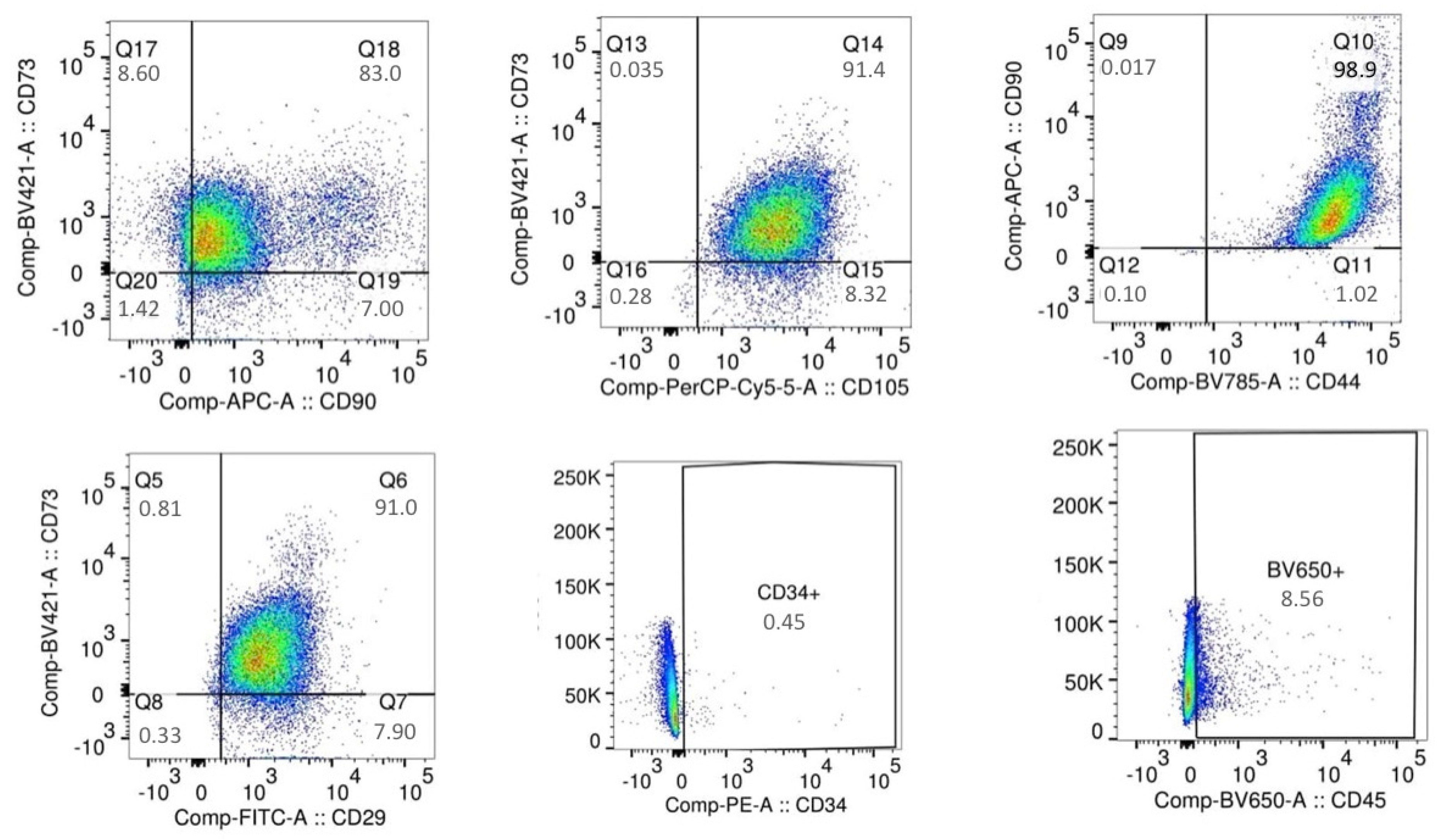 IJMS | Free Full-Text | Proteomic and Ultrastructural Analysis of ...