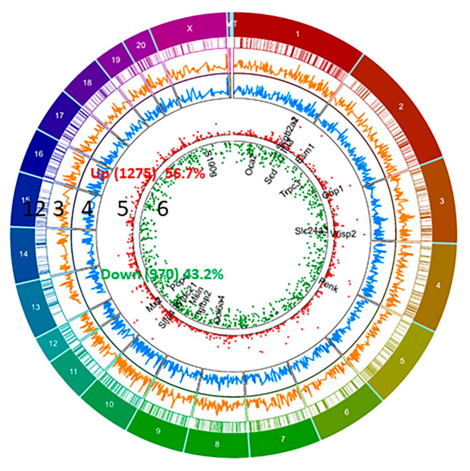 Ijms 21 02079 g002 Ijms 21 02079 g002