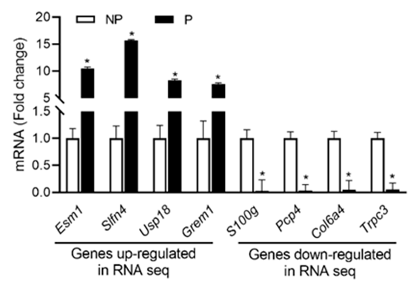 Ijms 21 02079 g003 Ijms 21 02079 g003