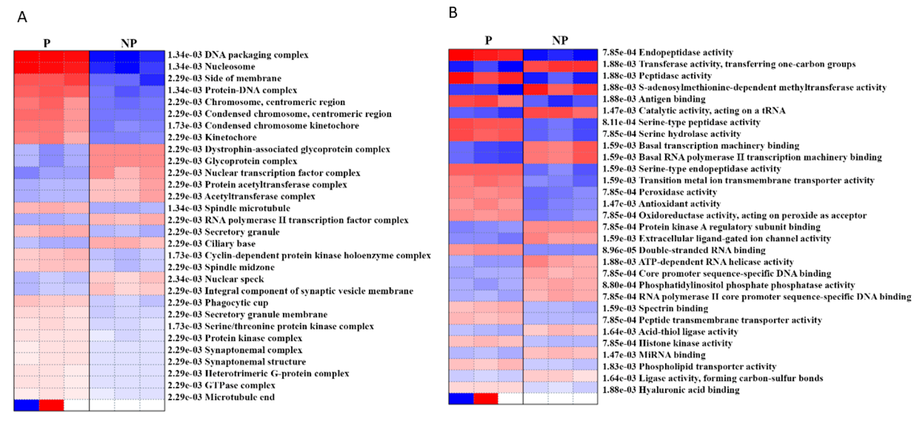 Ijms 21 02079 g004 Ijms 21 02079 g004