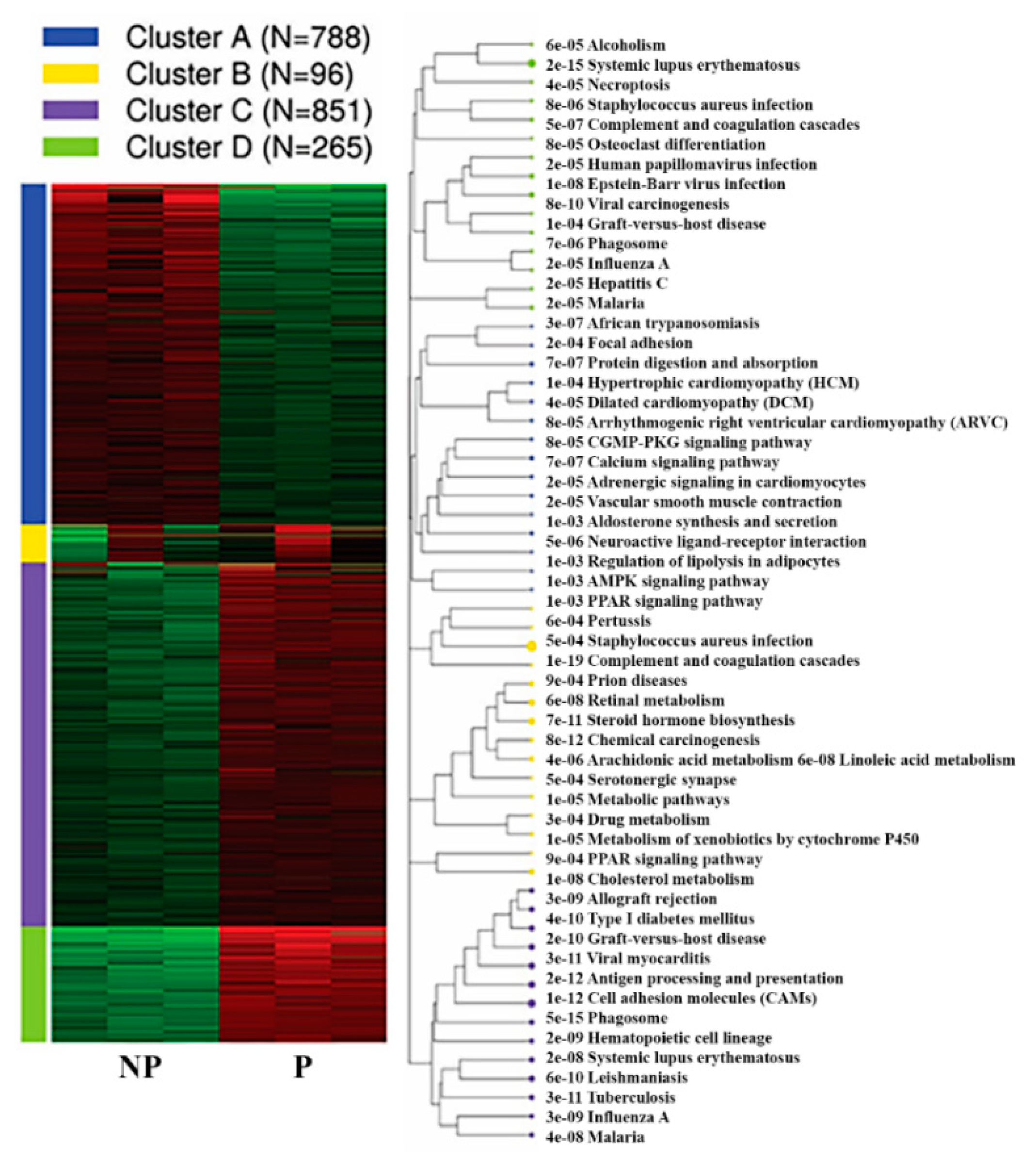 Ijms 21 02079 g006 Ijms 21 02079 g006