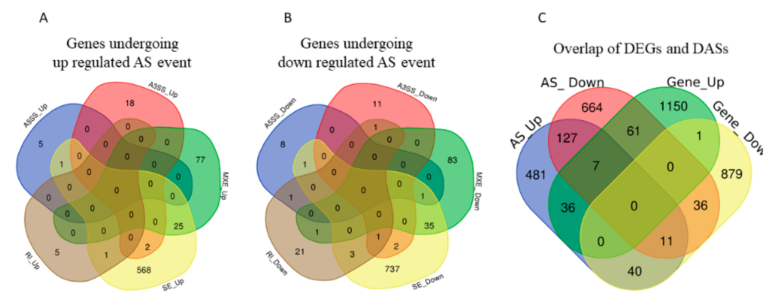 Ijms 21 02079 g007 Ijms 21 02079 g007