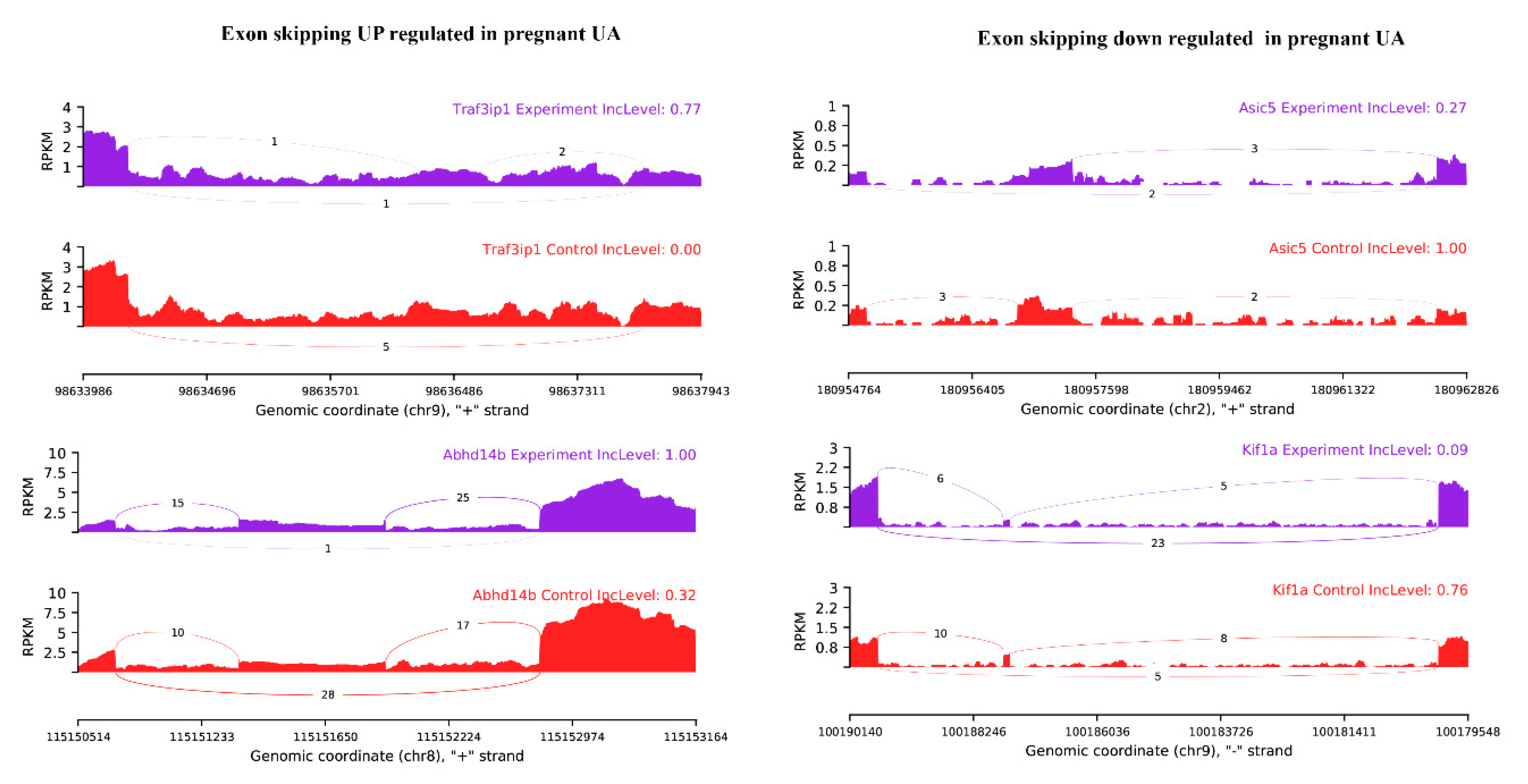 Ijms 21 02079 g008 Ijms 21 02079 g008