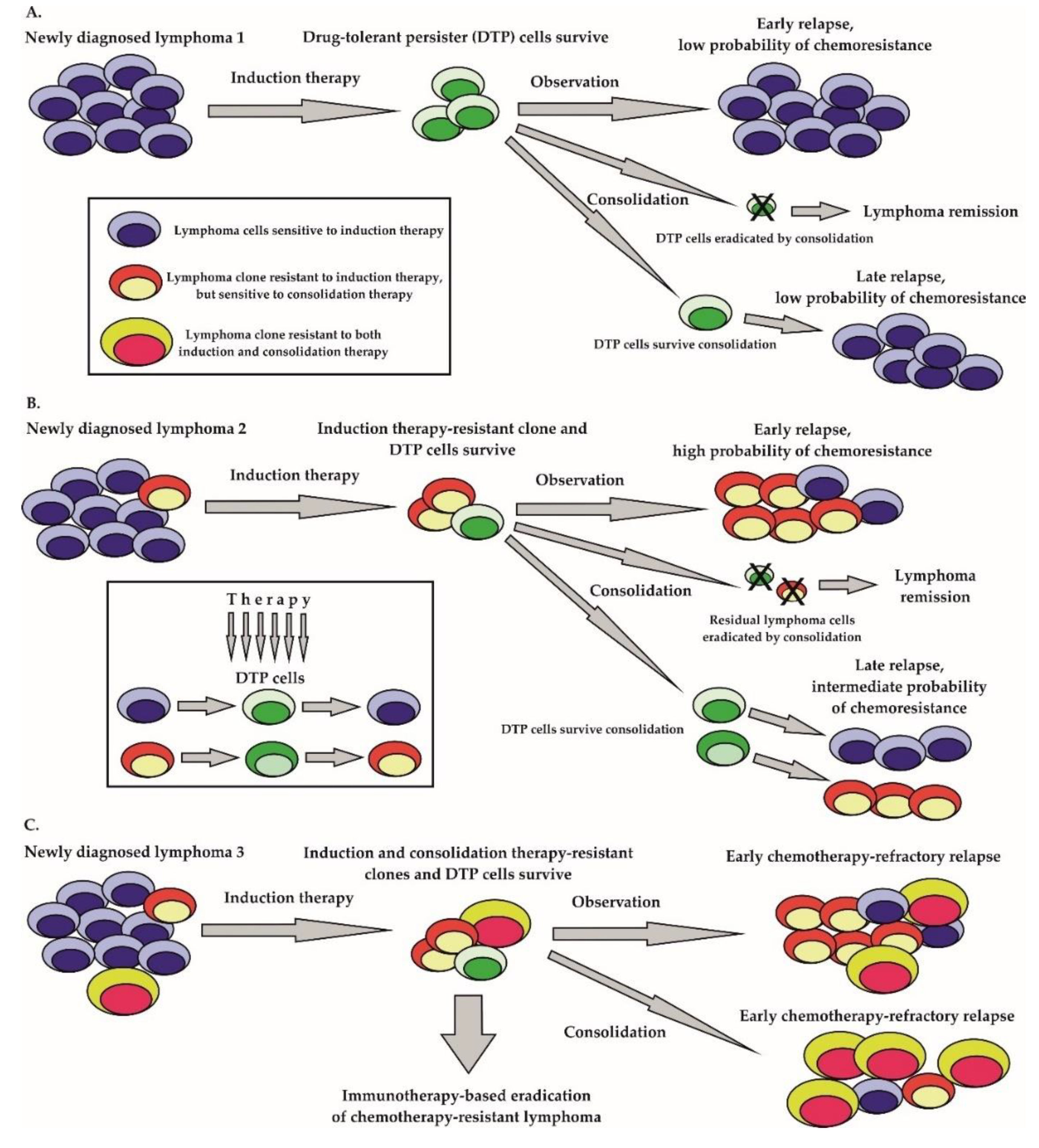 Ijms Free Full Text Drug Resistance In Non Hodgkin Lymphomas Html