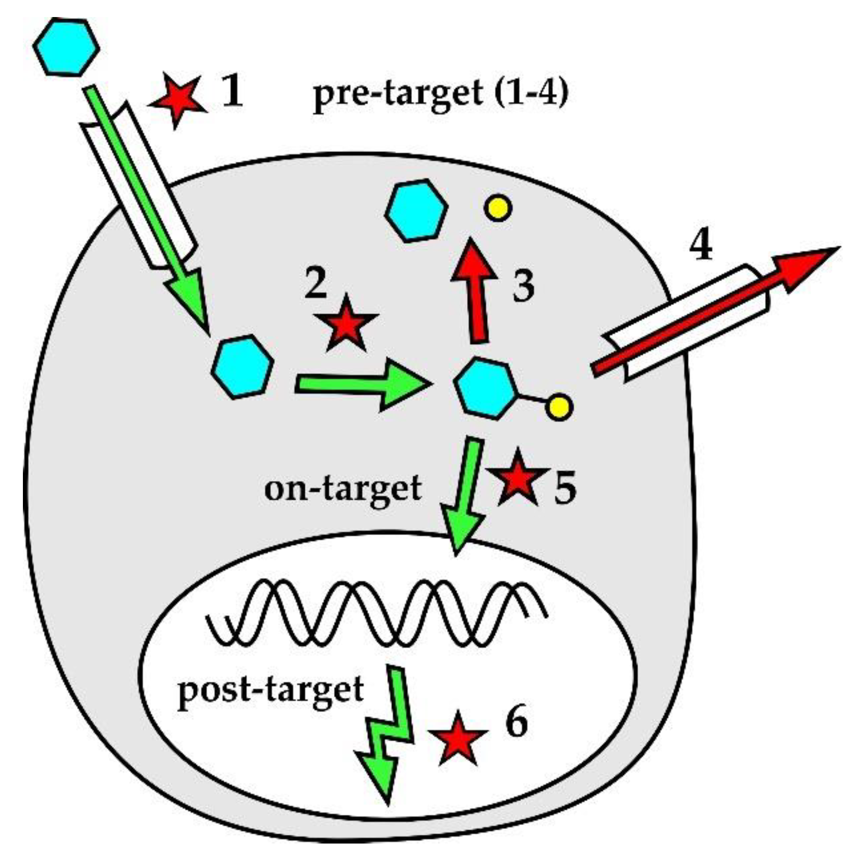 Ijms 21 02081 g002 Ijms 21 02081 g002