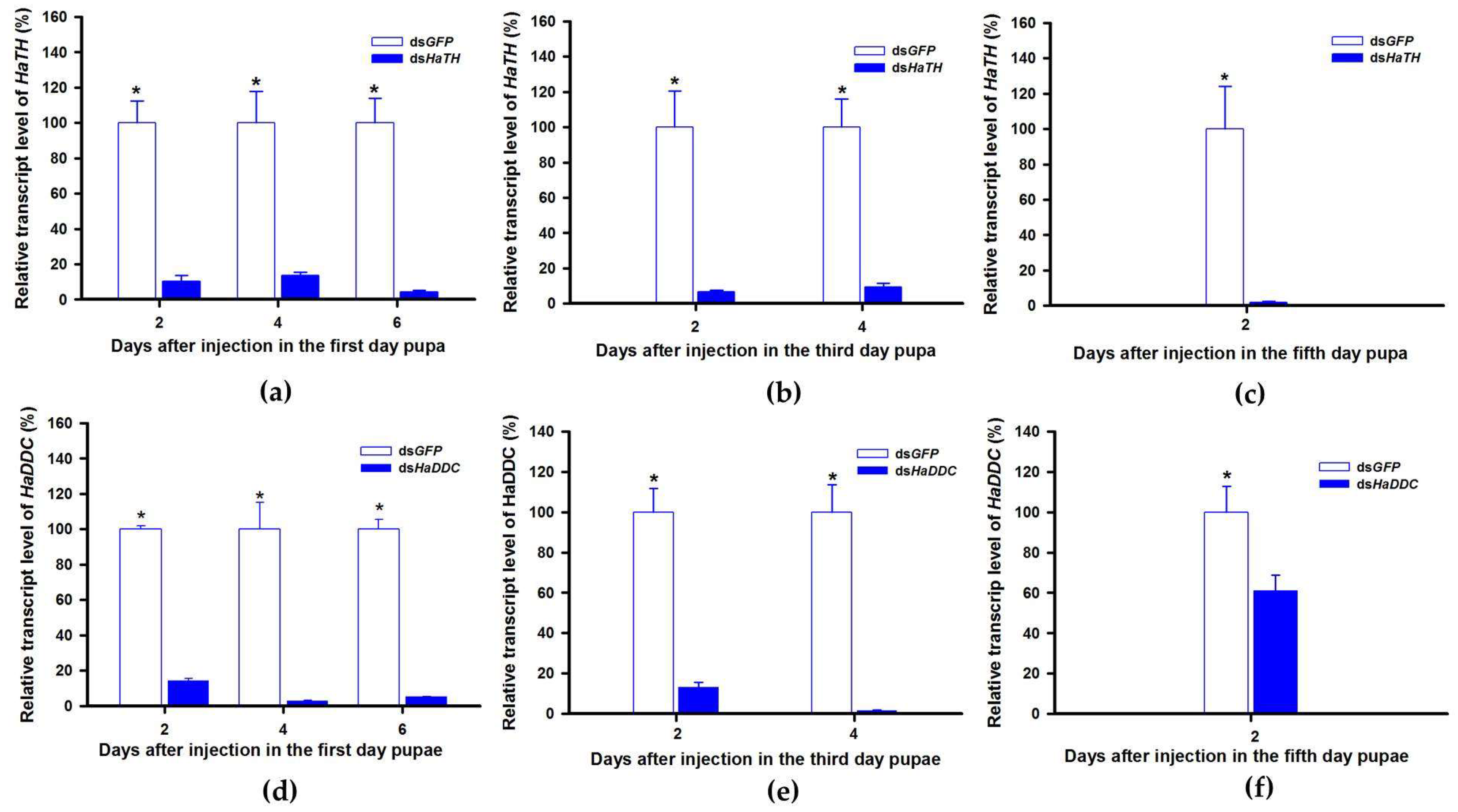 Ijms 21 02088 g006 Ijms 21 02088 g006
