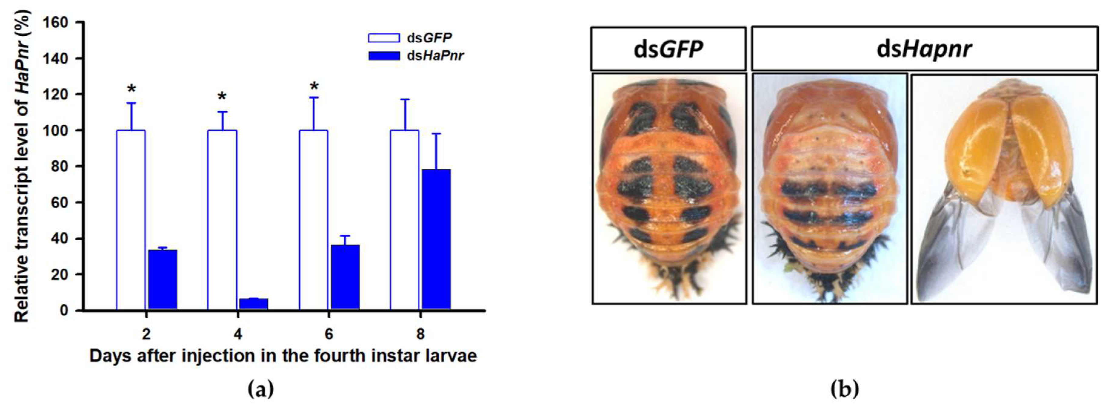 Ijms 21 02088 g008 Ijms 21 02088 g008