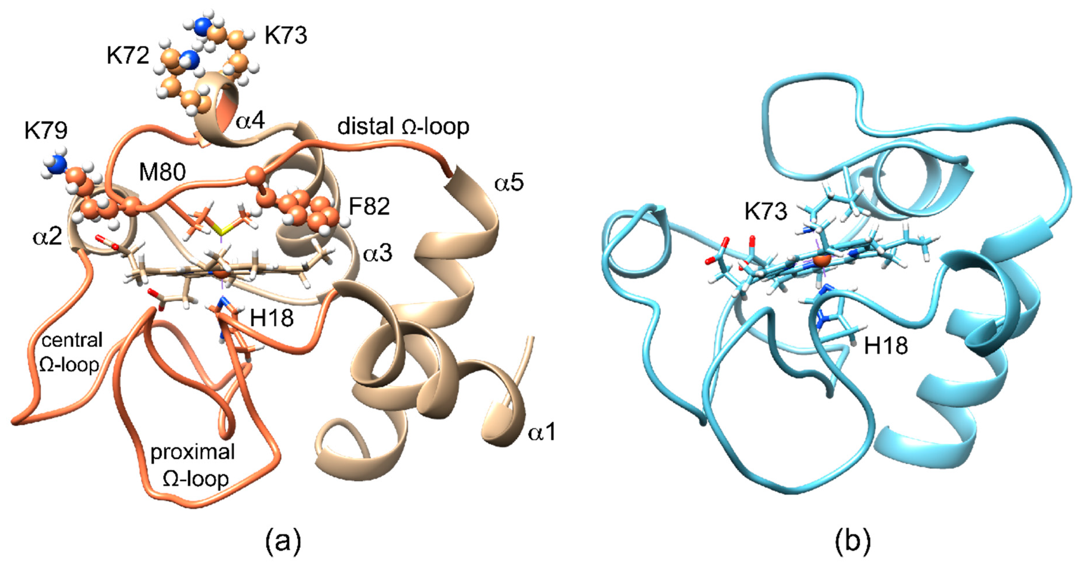 Ijms 21 02134 g001 Ijms 21 02134 g001