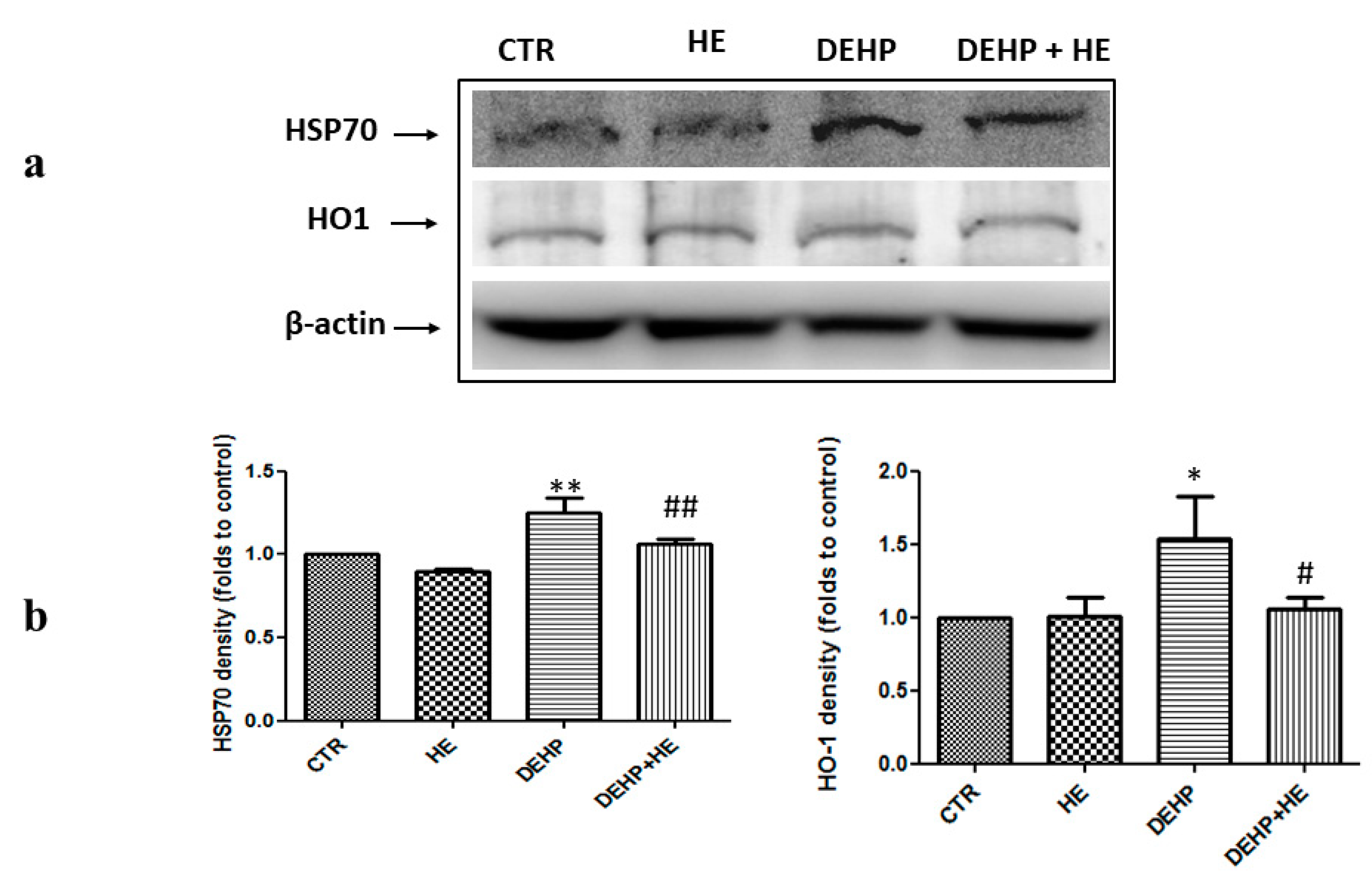 Ijms 21 02138 g003 Ijms 21 02138 g003