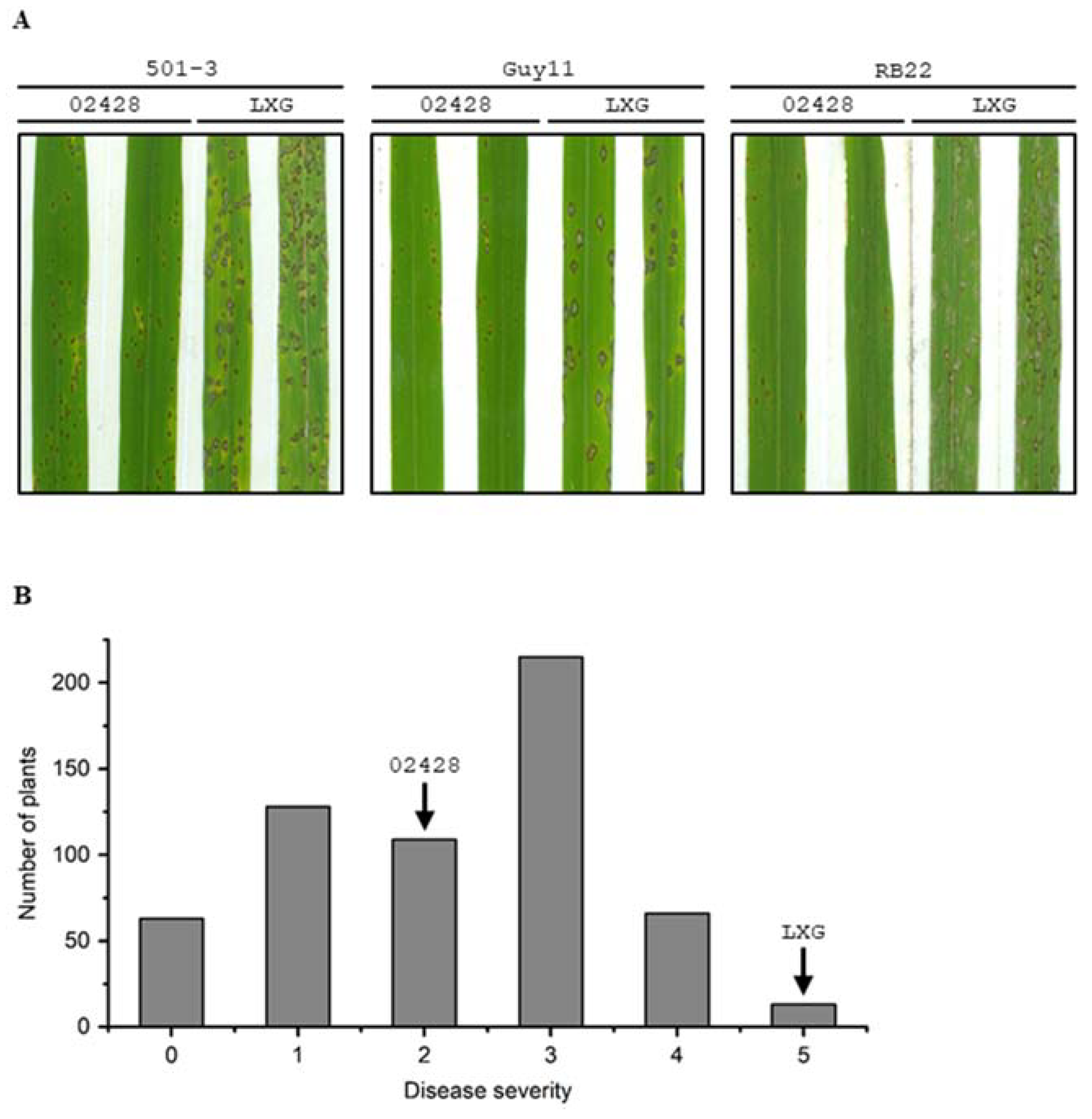 Ijms 21 02162 g001 Ijms 21 02162 g001