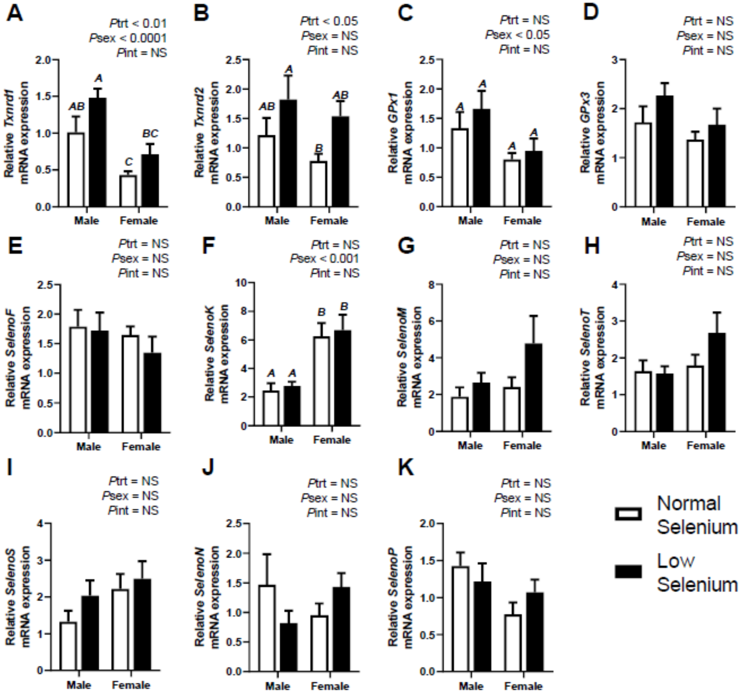 Ijms Free Full Text Analysis Of Selenoprotein Expression In 8287