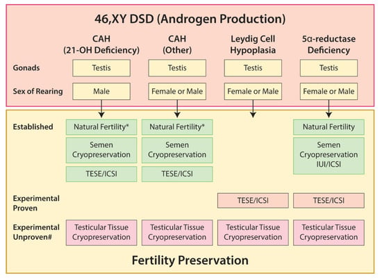 Ijms Free Full Text Disorders Of Sex Development—novel Regulators 