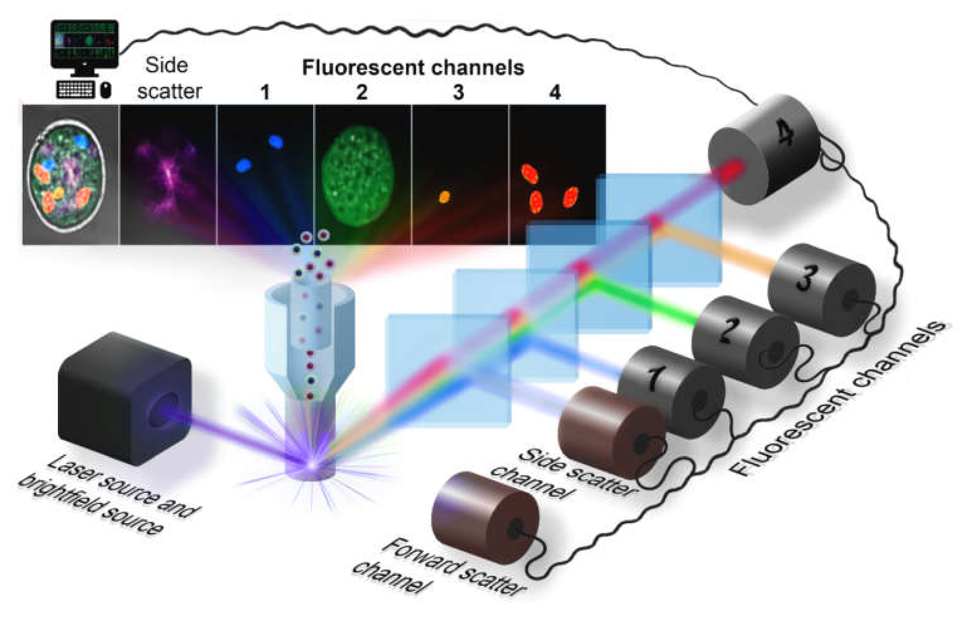 IJMS | Free Full-Text | Detection of Rare Objects by Flow Cytometry:  Imaging, Cell Sorting, and Deep Learning Approaches