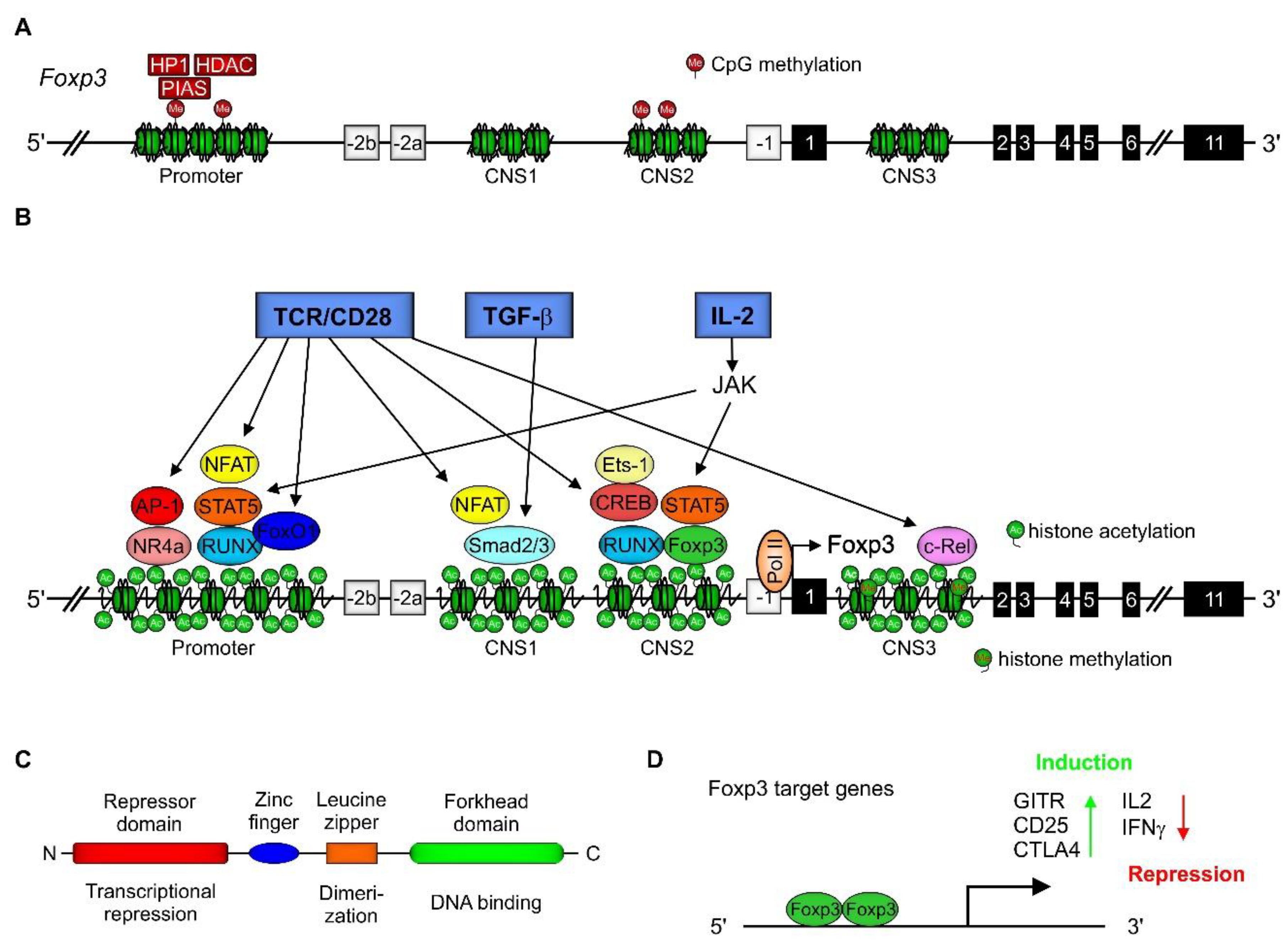 Ijms 21 02356 g001 Ijms 21 02356 g001