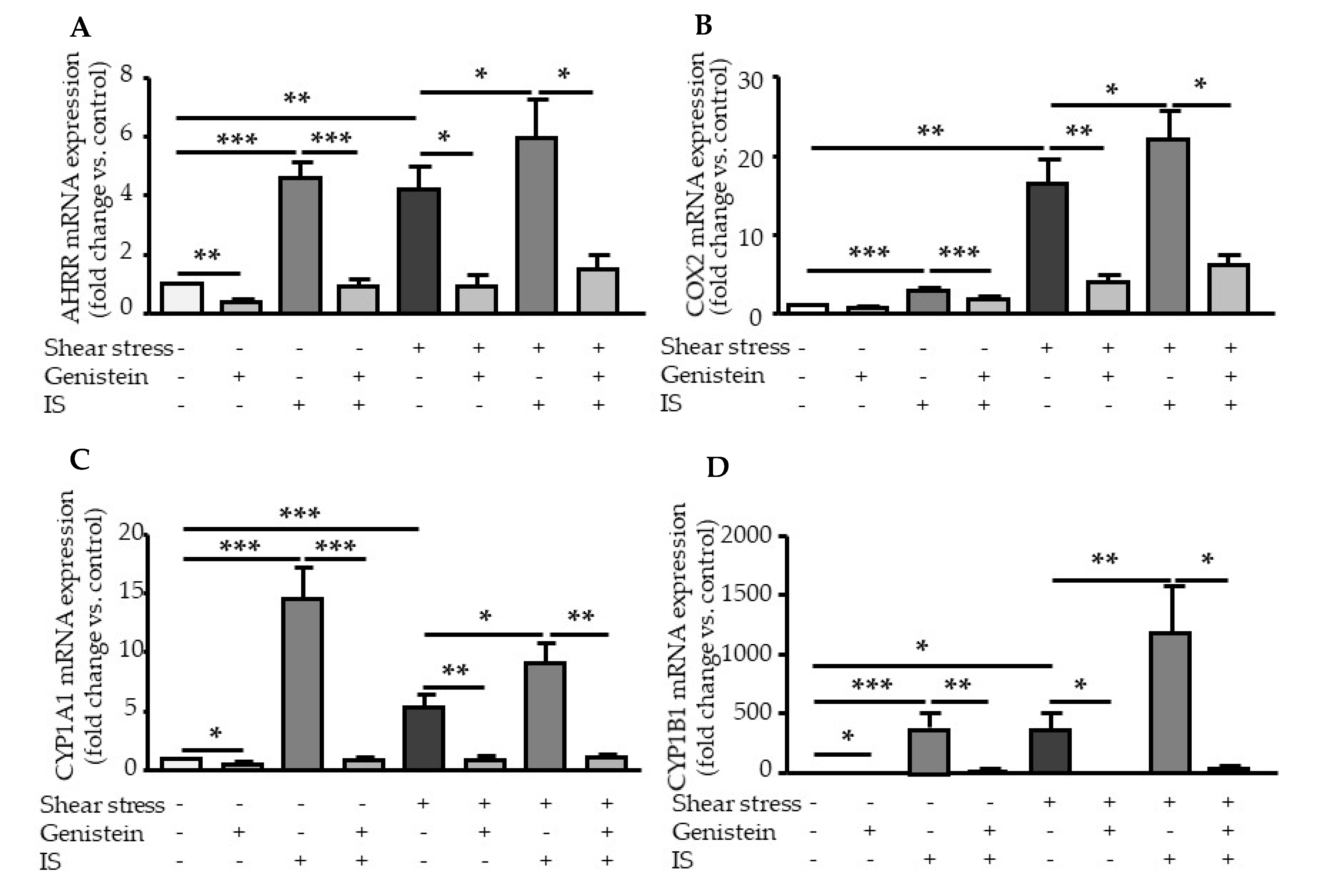Ijms 21 02392 g004 Ijms 21 02392 g004