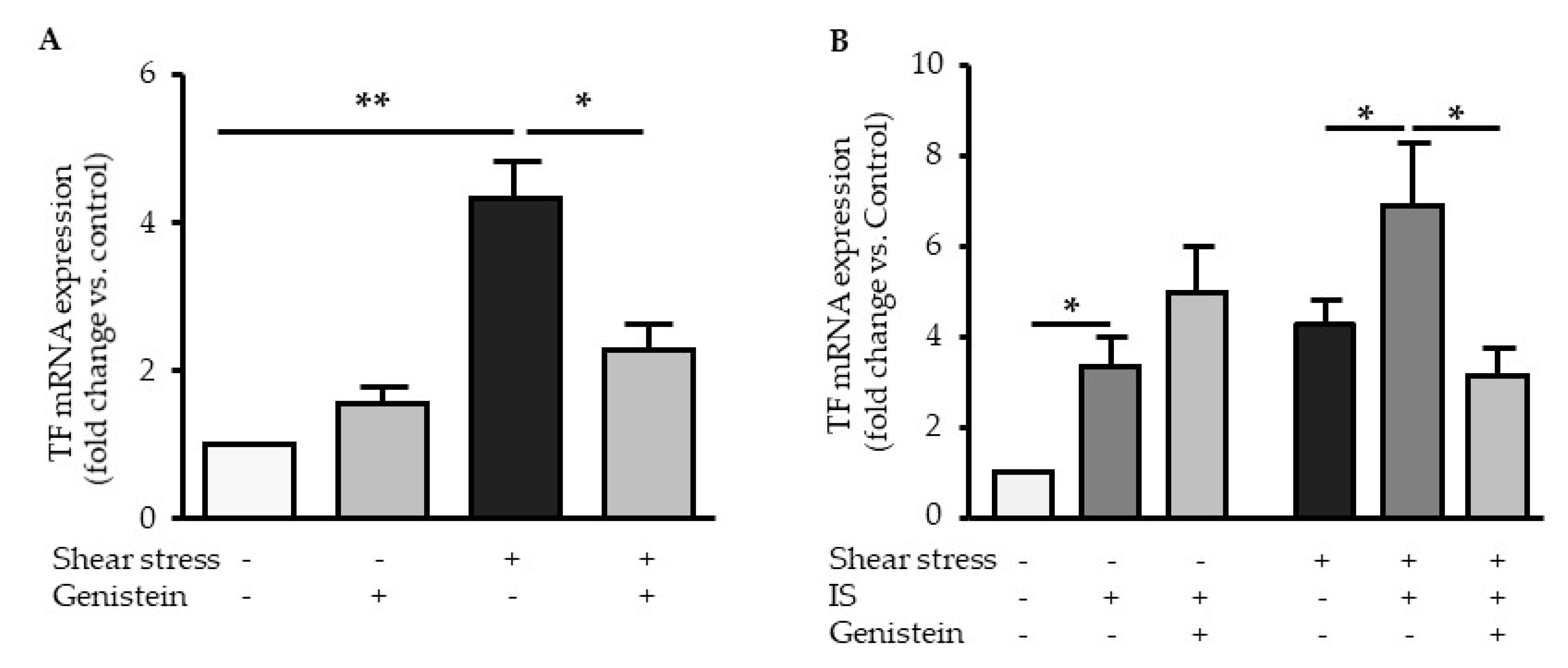 Ijms 21 02392 g006 Ijms 21 02392 g006