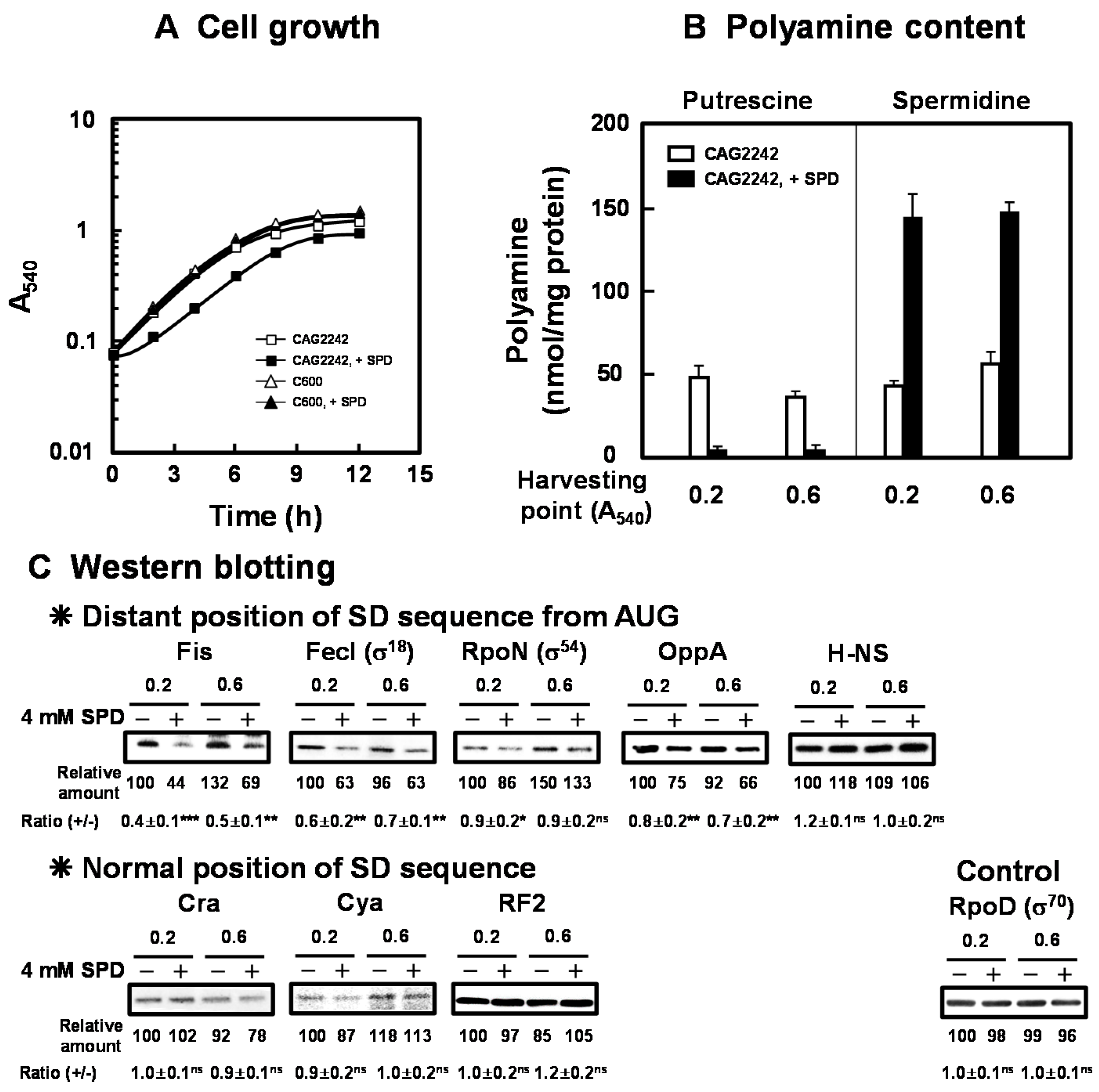 Ijms 21 02406 g001 Ijms 21 02406 g001