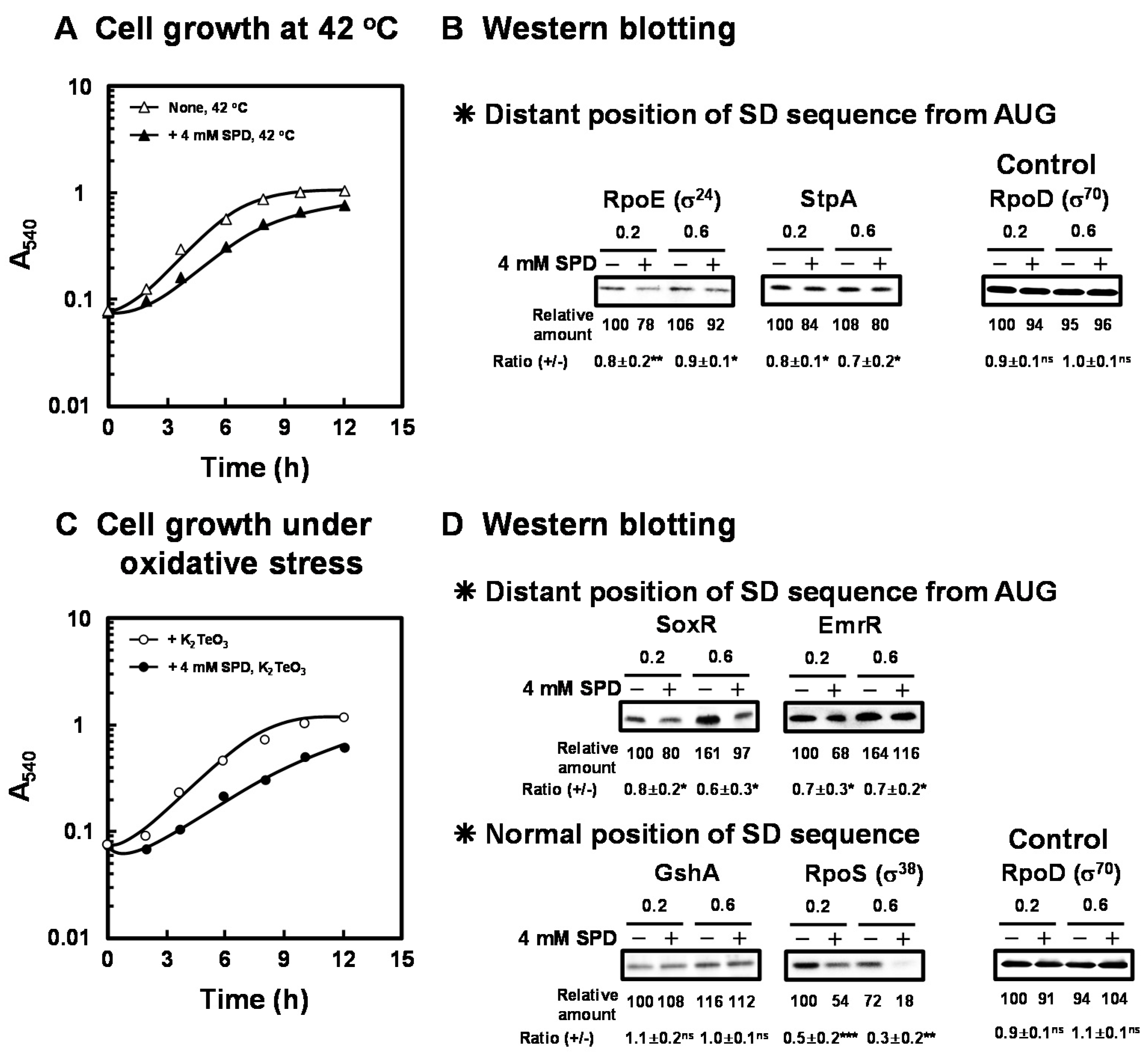 IJMS | Free Full-Text | Cytotoxic Mechanism of Excess Polyamines