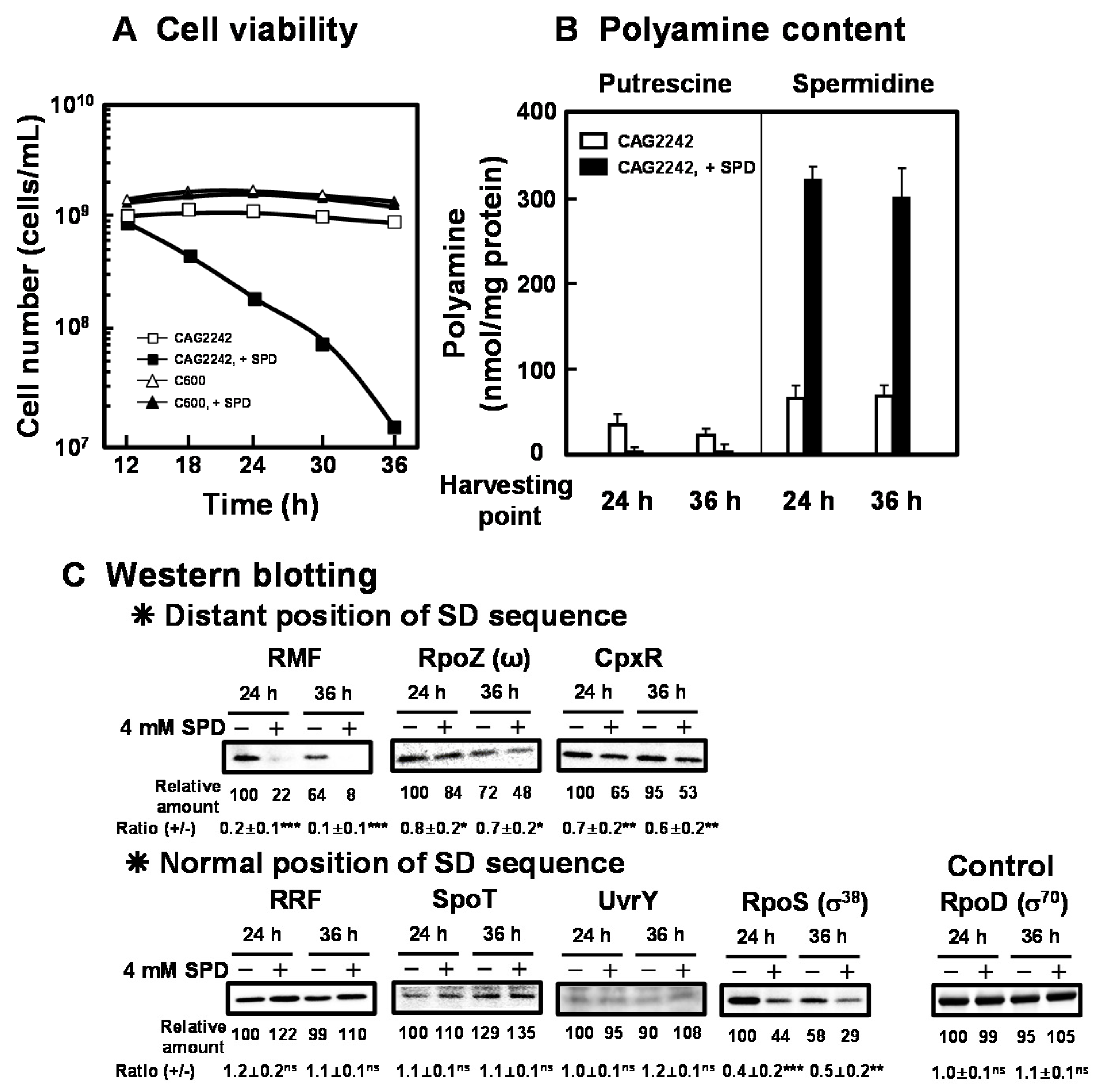 Ijms 21 02406 g003 Ijms 21 02406 g003