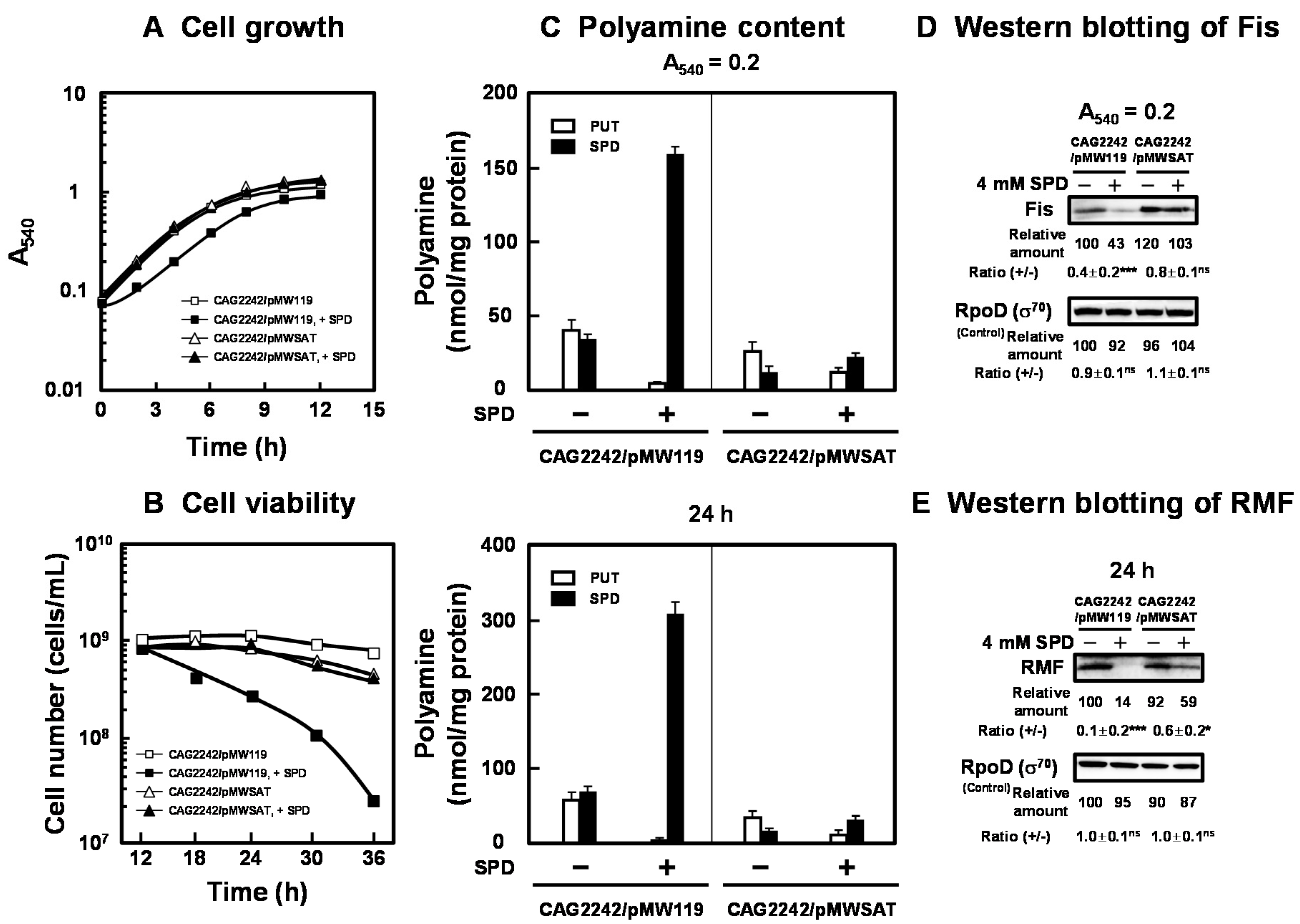 Ijms 21 02406 g004 Ijms 21 02406 g004