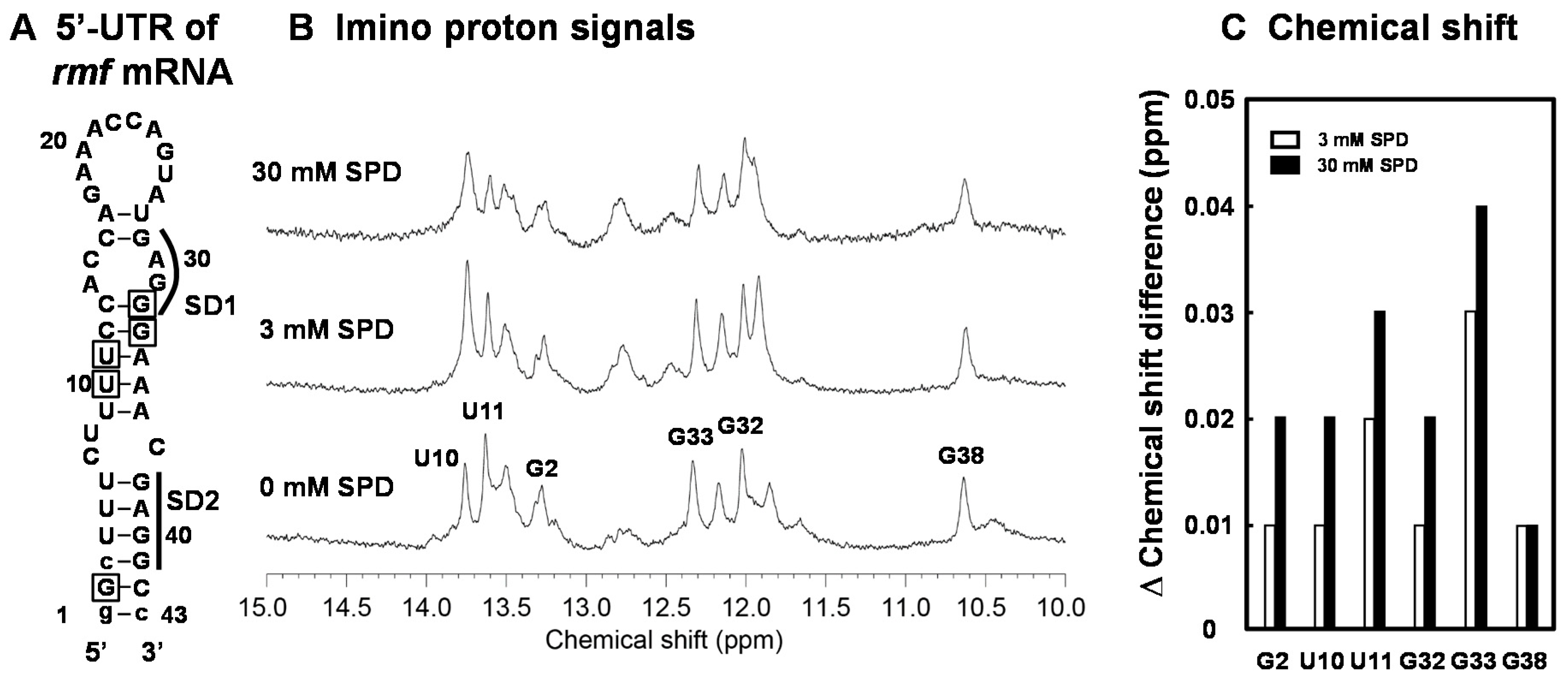 Ijms 21 02406 g005 Ijms 21 02406 g005