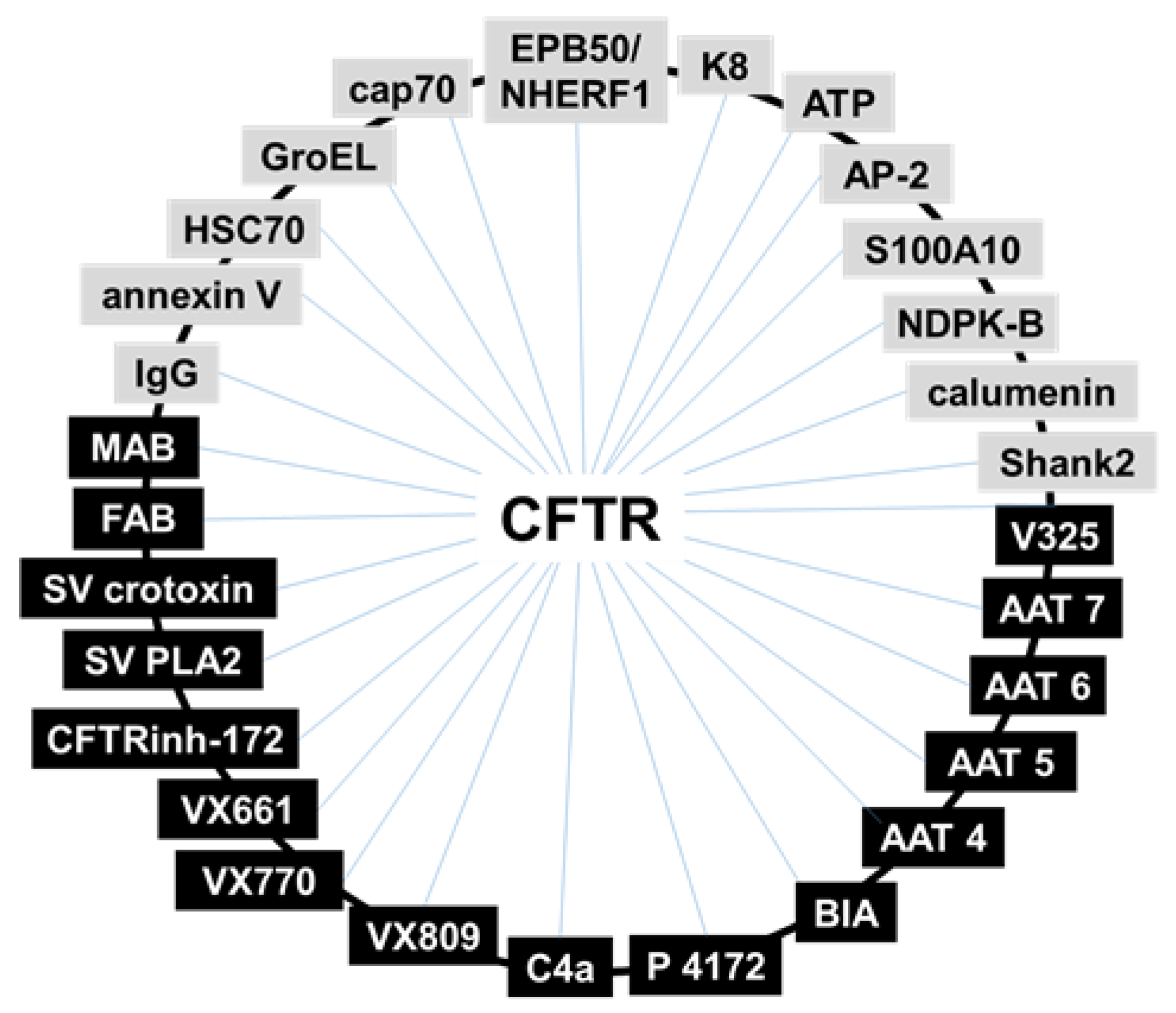 Ijms 21 02407 g005 Ijms 21 02407 g005