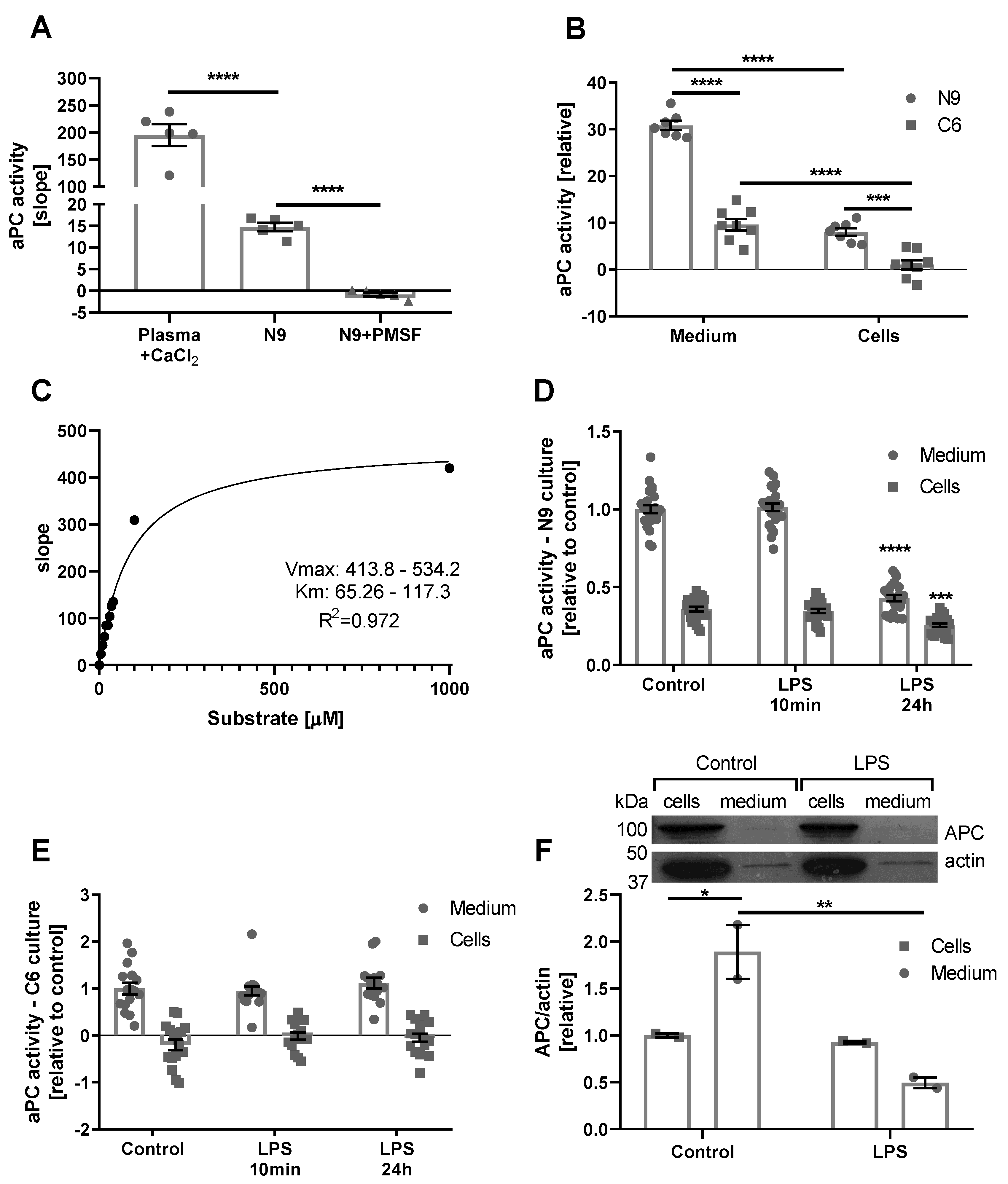 Ijms 21 02422 g002 Ijms 21 02422 g002