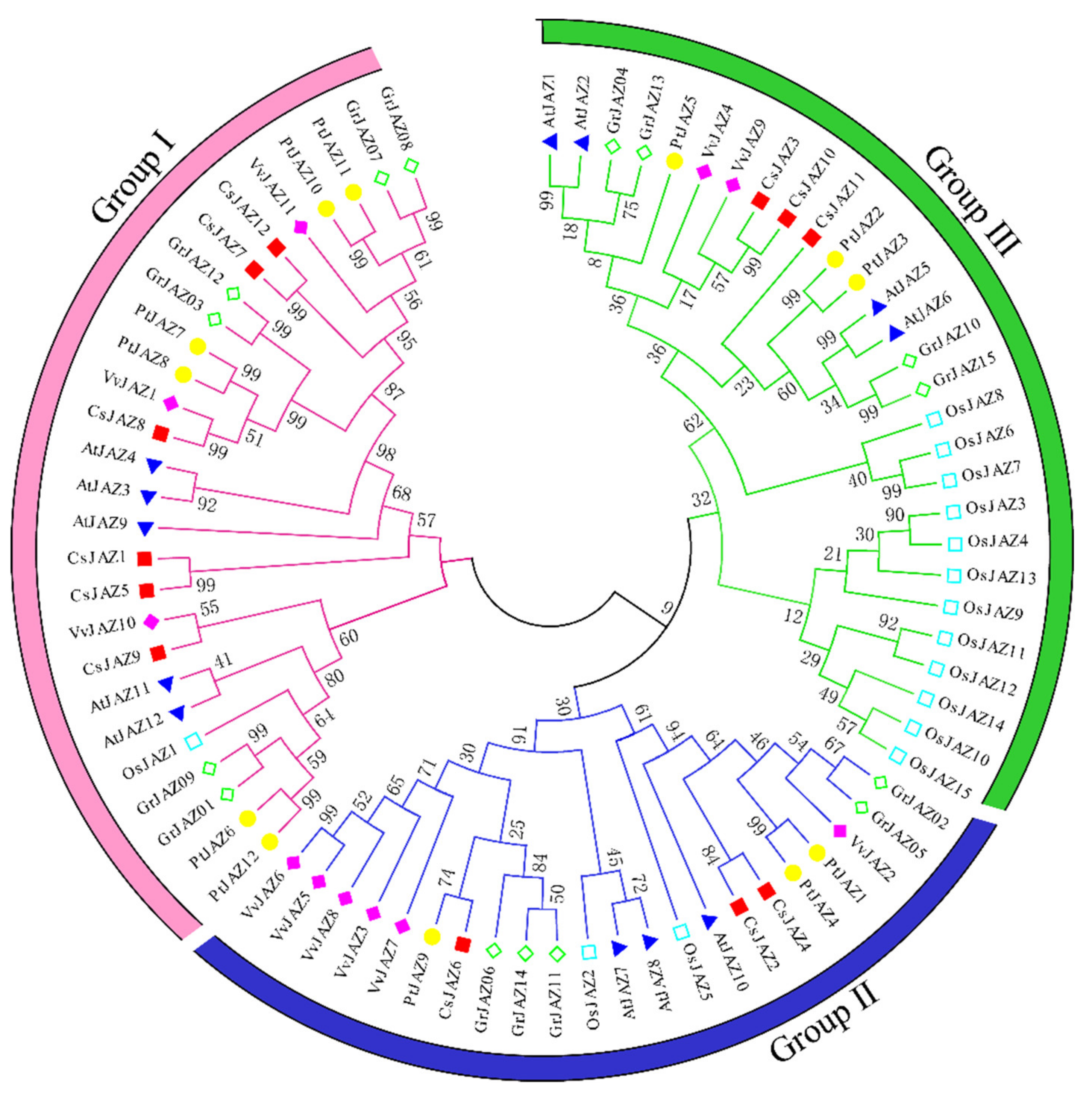 Ijms 21 02433 g001 Ijms 21 02433 g001