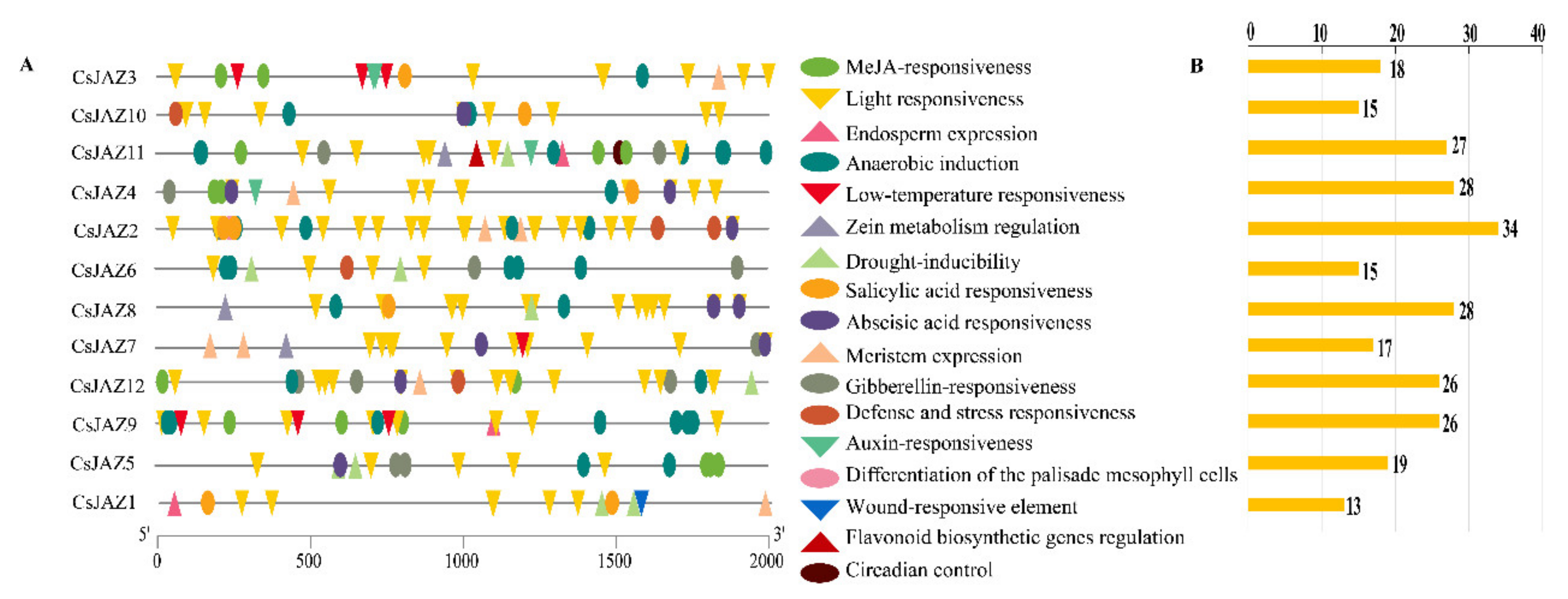 Ijms 21 02433 g002 Ijms 21 02433 g002
