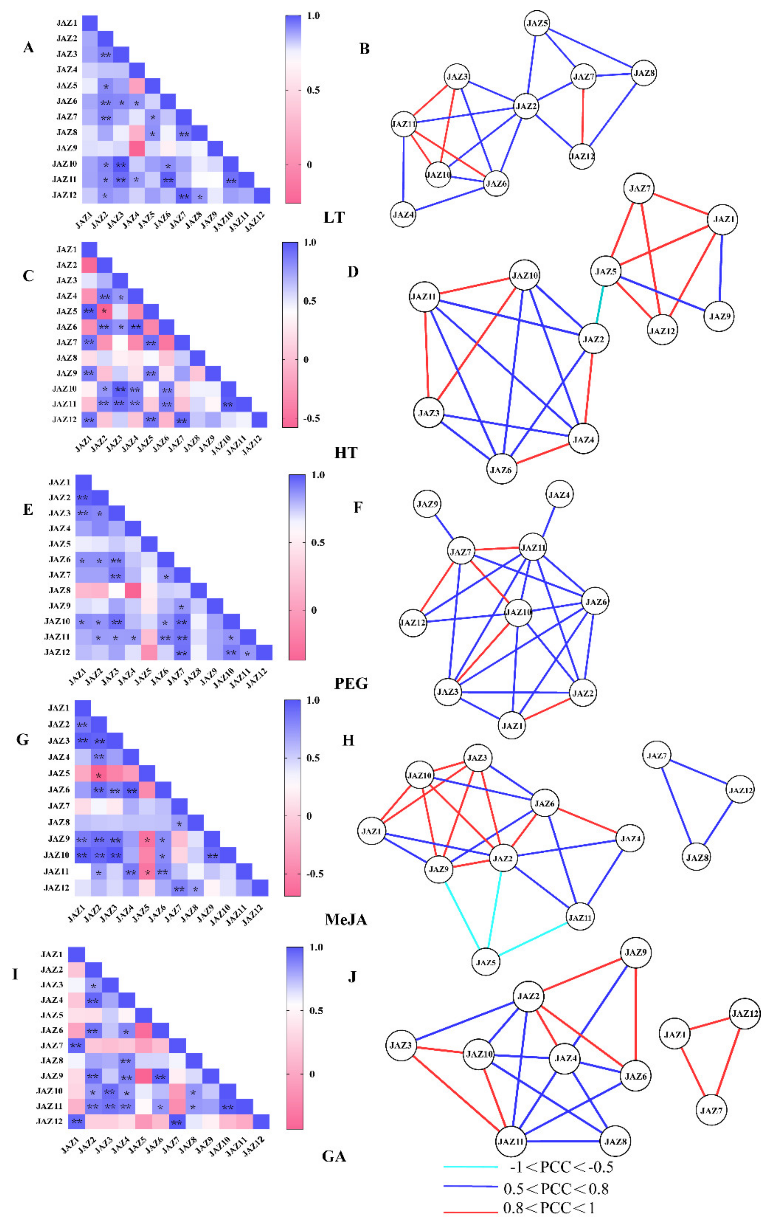 Ijms 21 02433 g005 Ijms 21 02433 g005