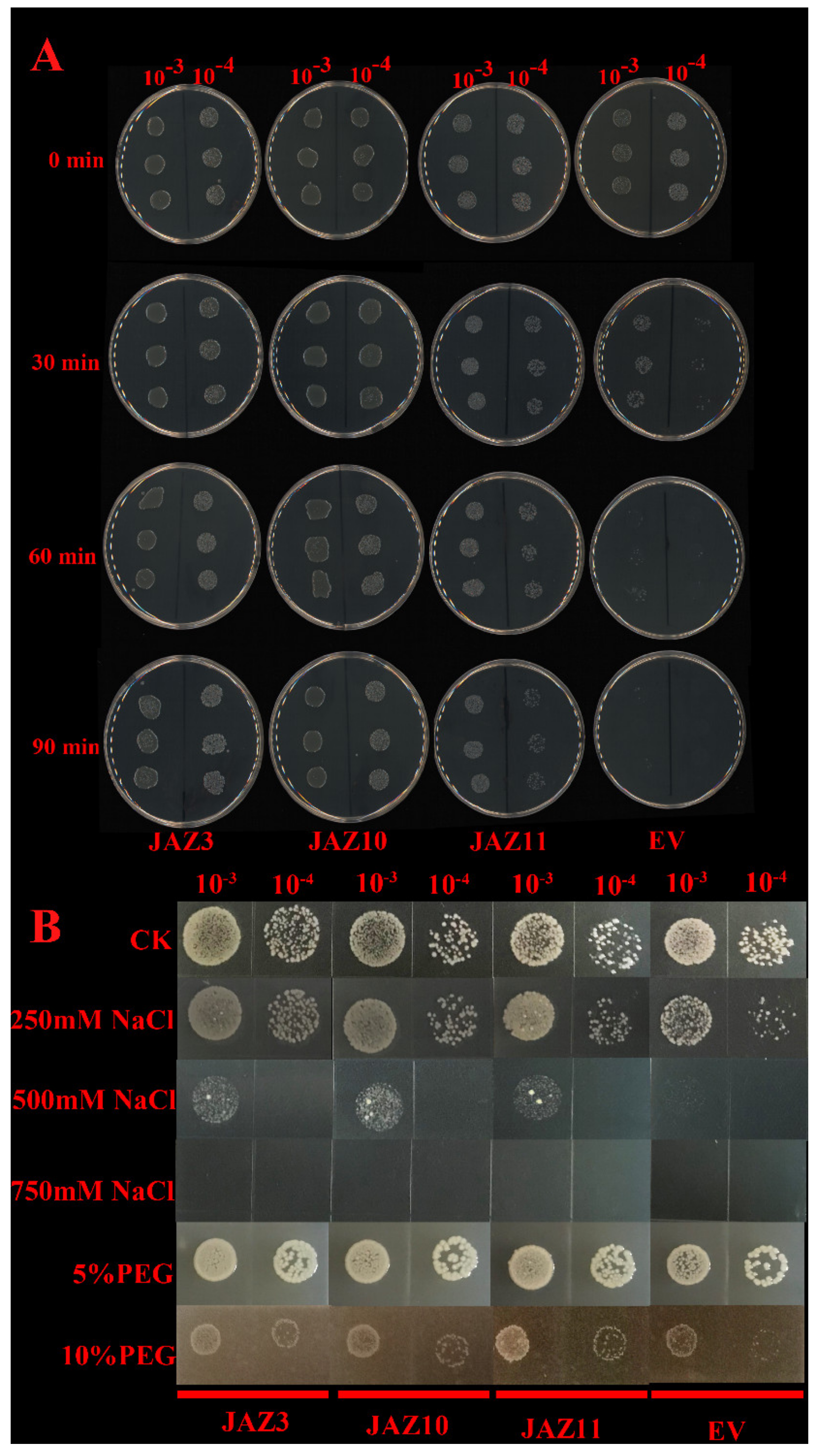 Ijms 21 02433 g007 Ijms 21 02433 g007