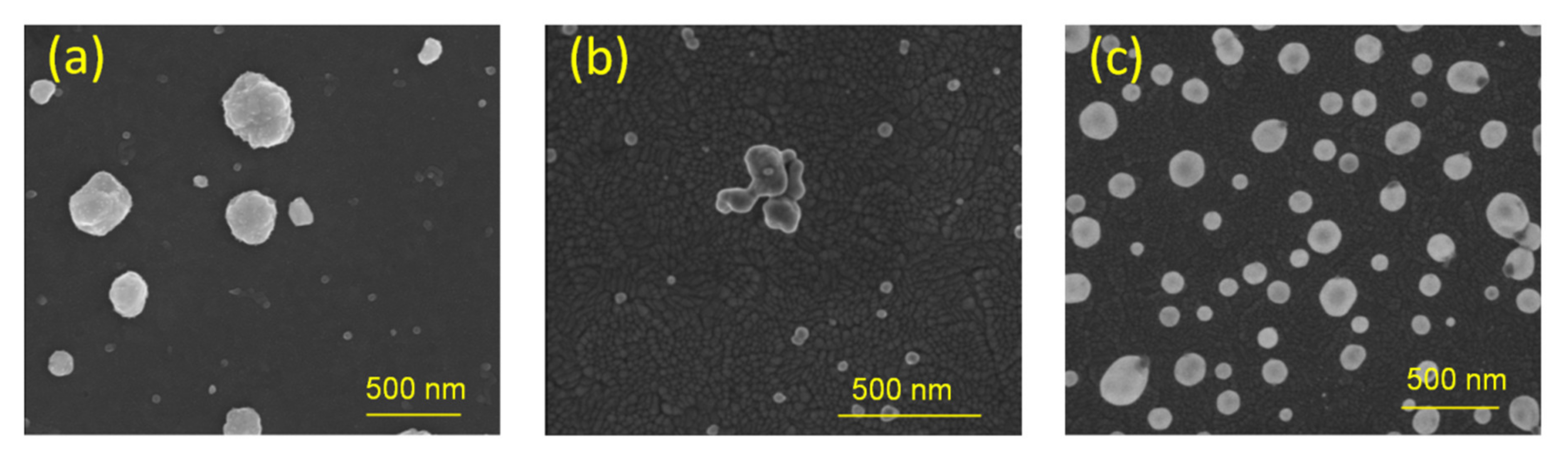 Ijms 21 02451 g003 Ijms 21 02451 g003