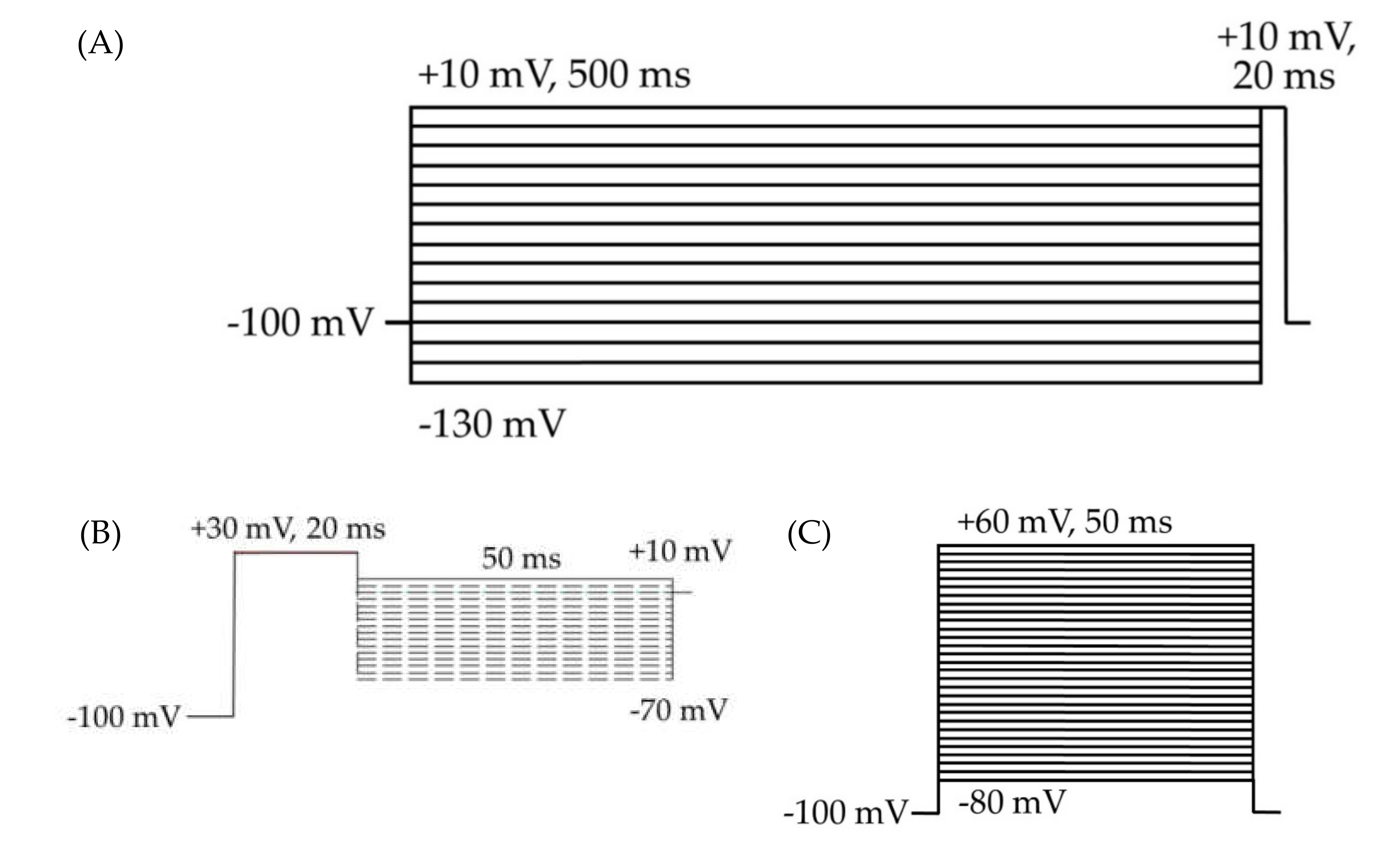 Ijms 21 02454 g002 Ijms 21 02454 g002