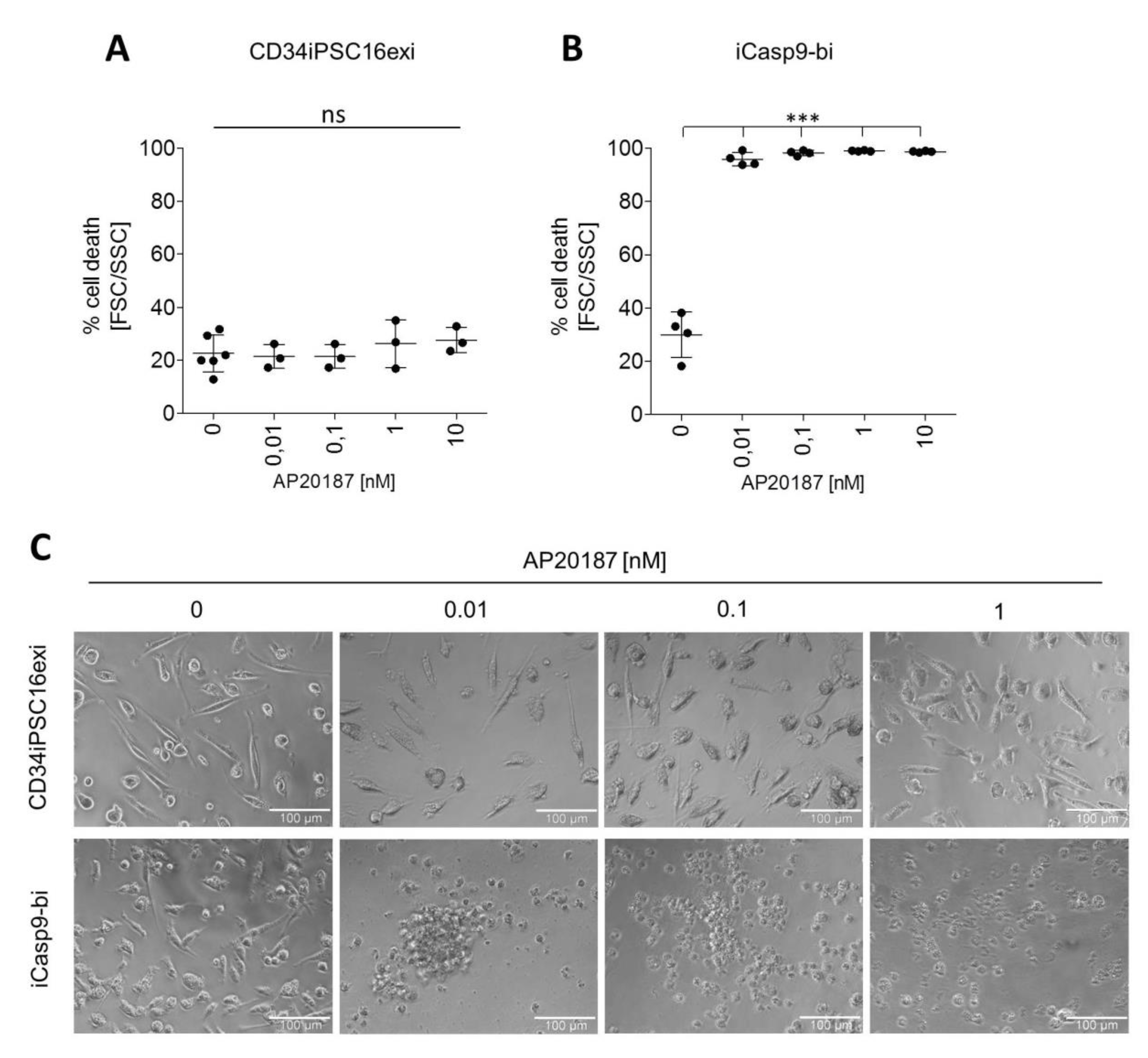 Ijms 21 02481 g004 Ijms 21 02481 g004