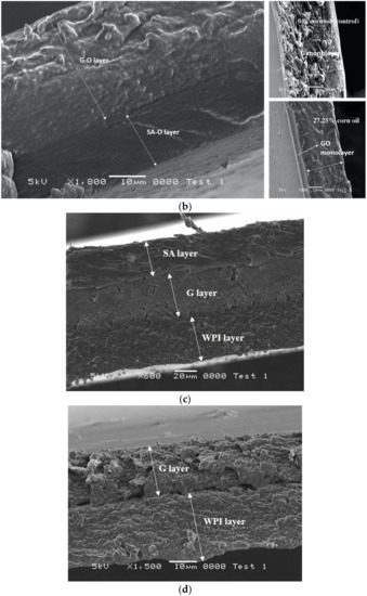 Ijms Free Full Text Development And Assessment Of Duplex And Triplex Laminated Edible Films Using Whey Protein Isolate Gelatin And Sodium Alginate Html